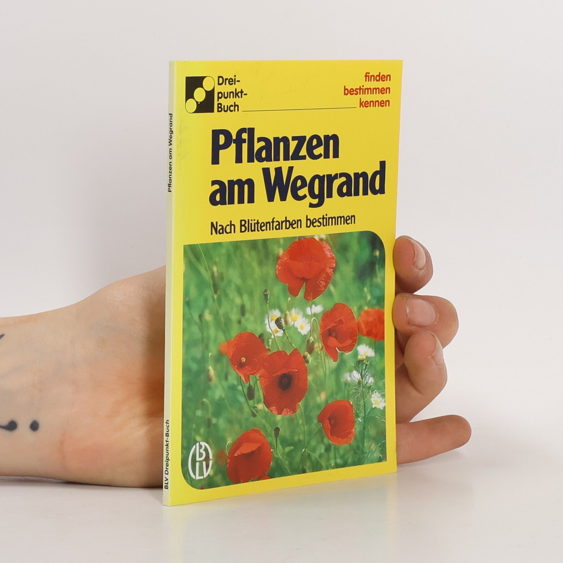 AA.VV. Pflanzen am Wegrand