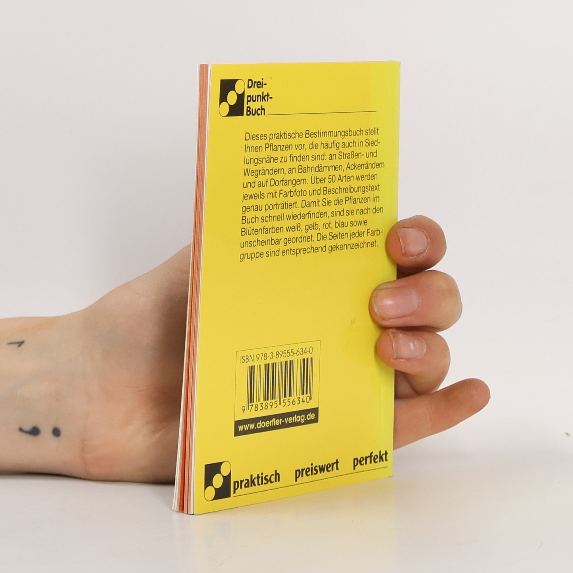 Autorenkollektiv Pflanzen am Wegrand