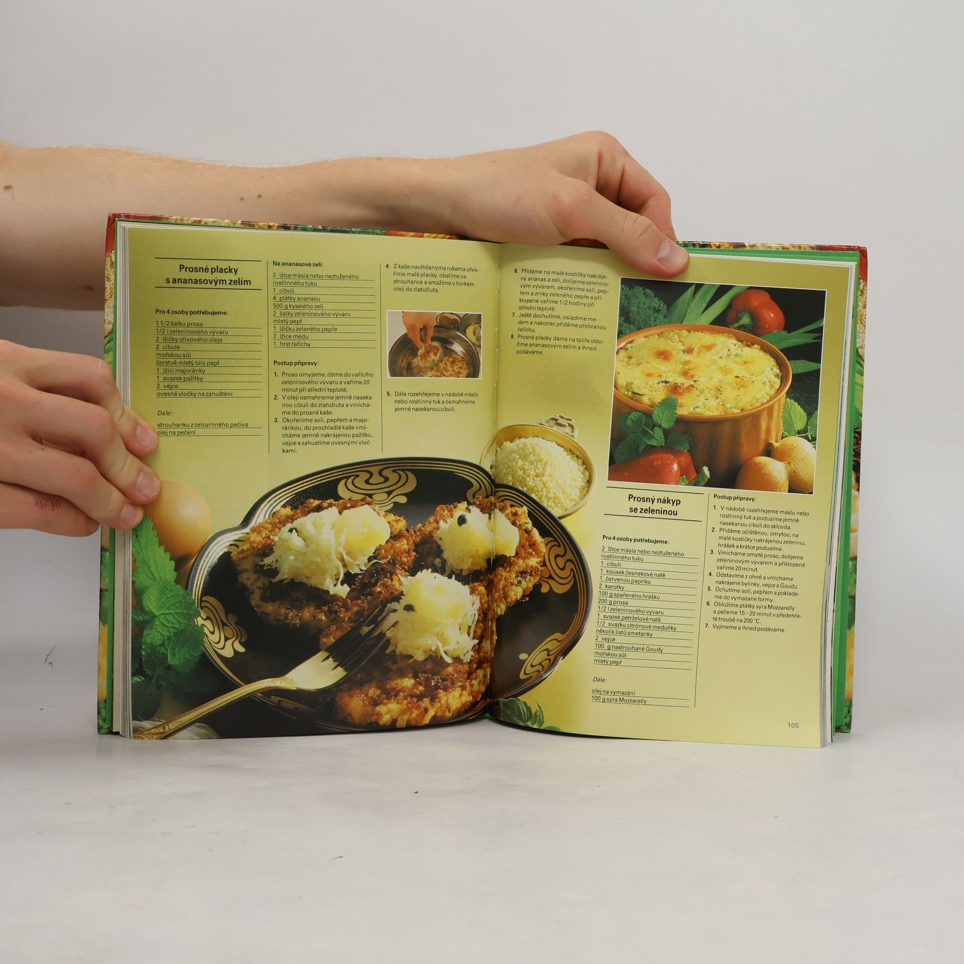Fritz Faist Chutná vegetariánská kuchyně