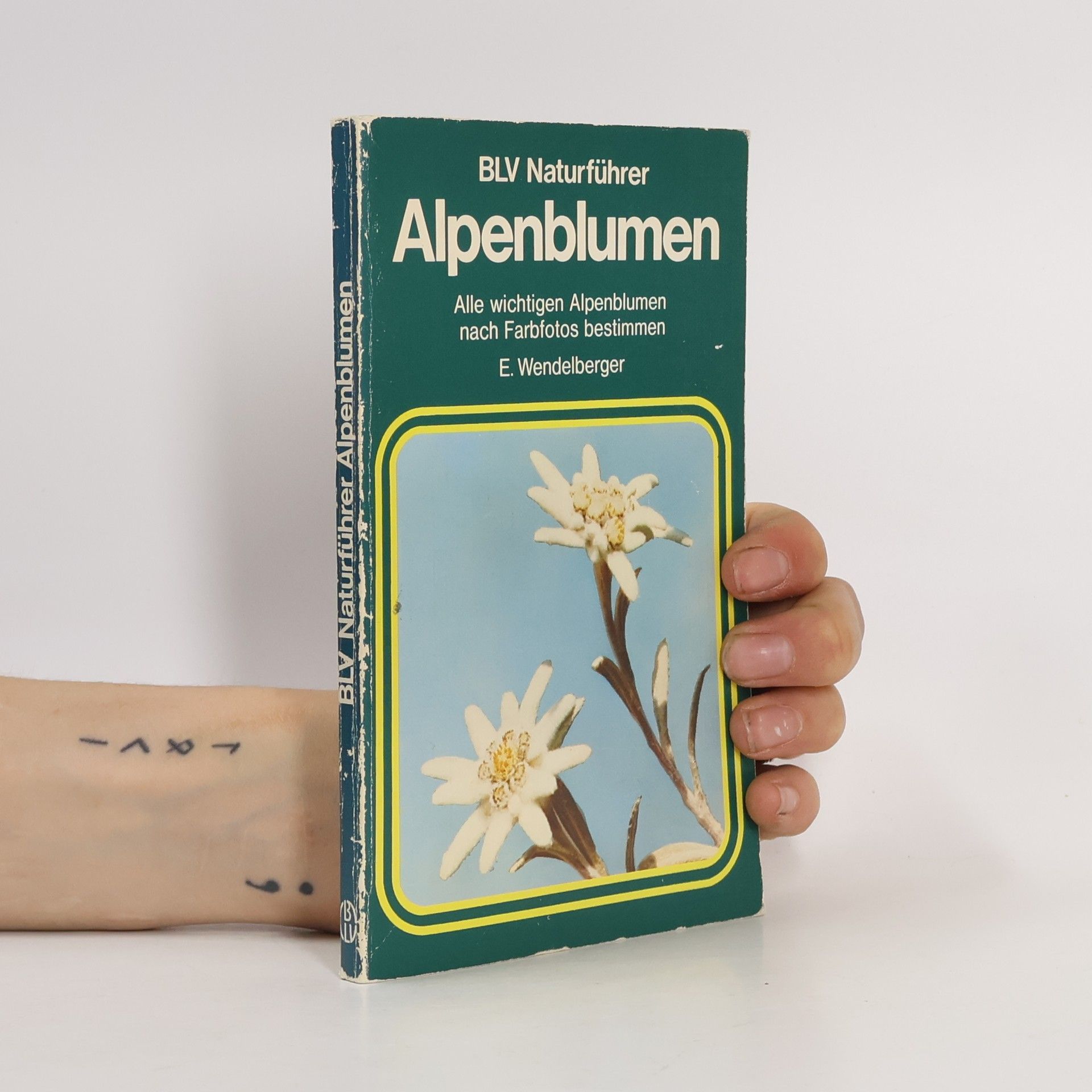 Elfrune Wendelberger Alpenblumen