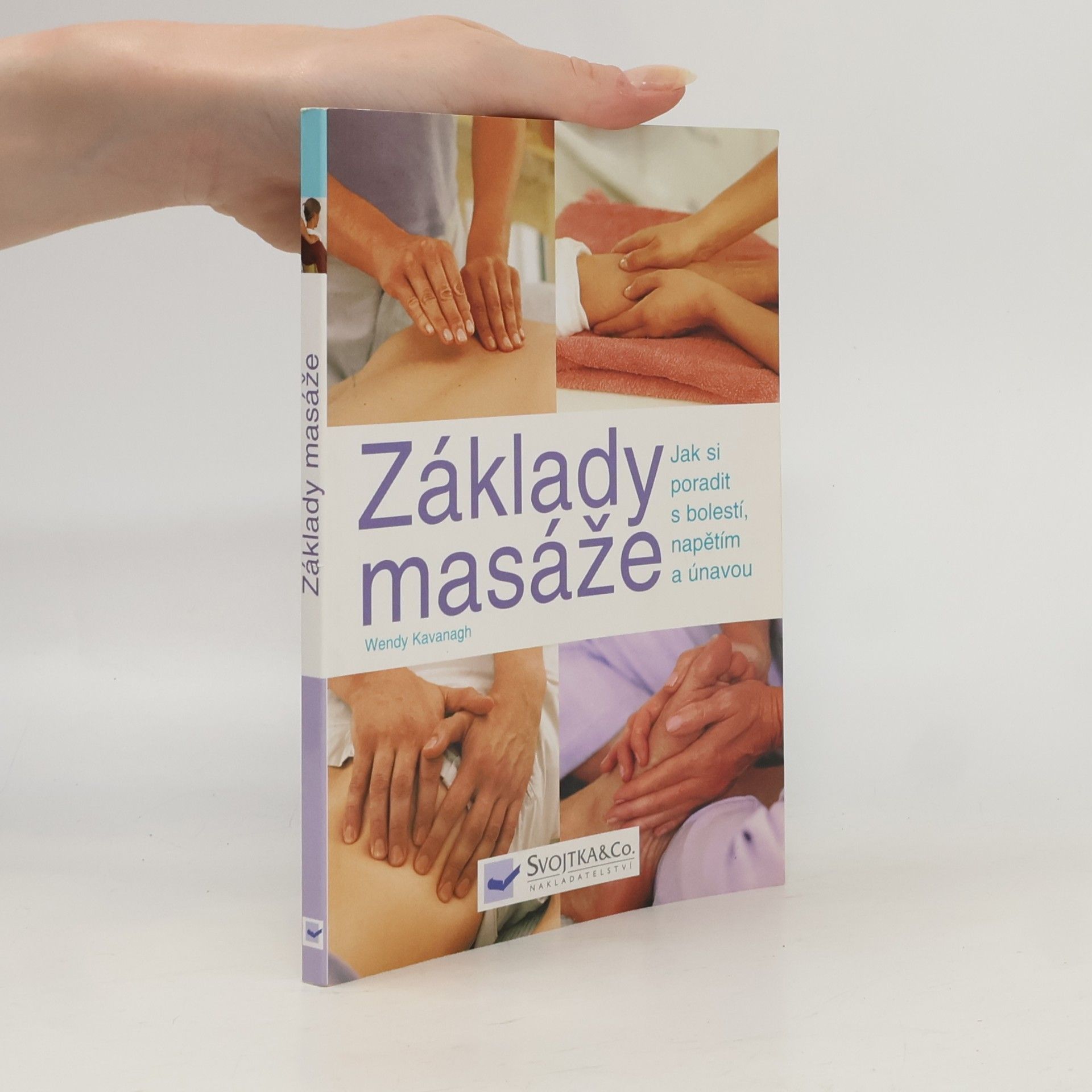 Wendy Kavanagh Základy masáže
