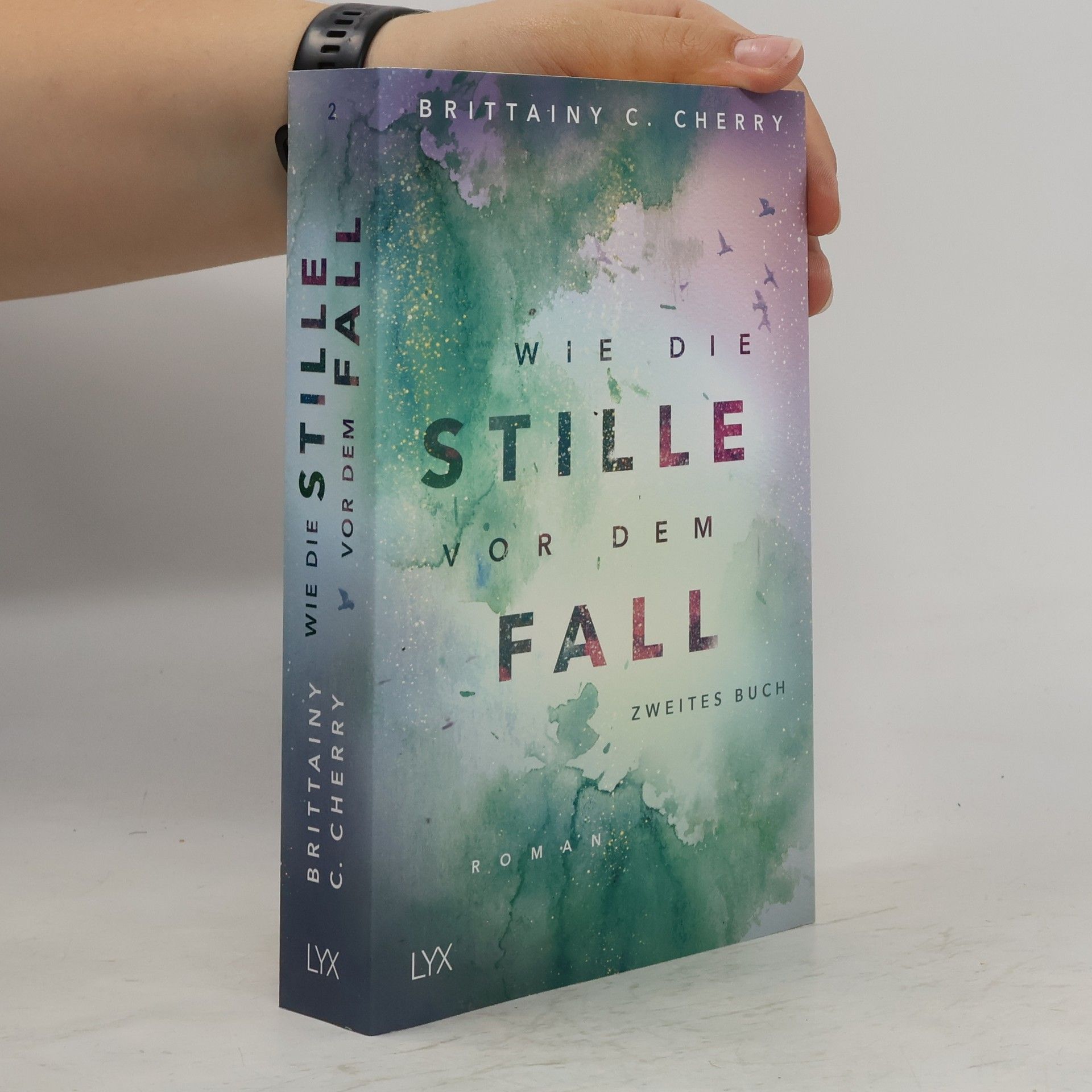 Brittainy C. Cherry Wie die Stille vor dem Fall 2