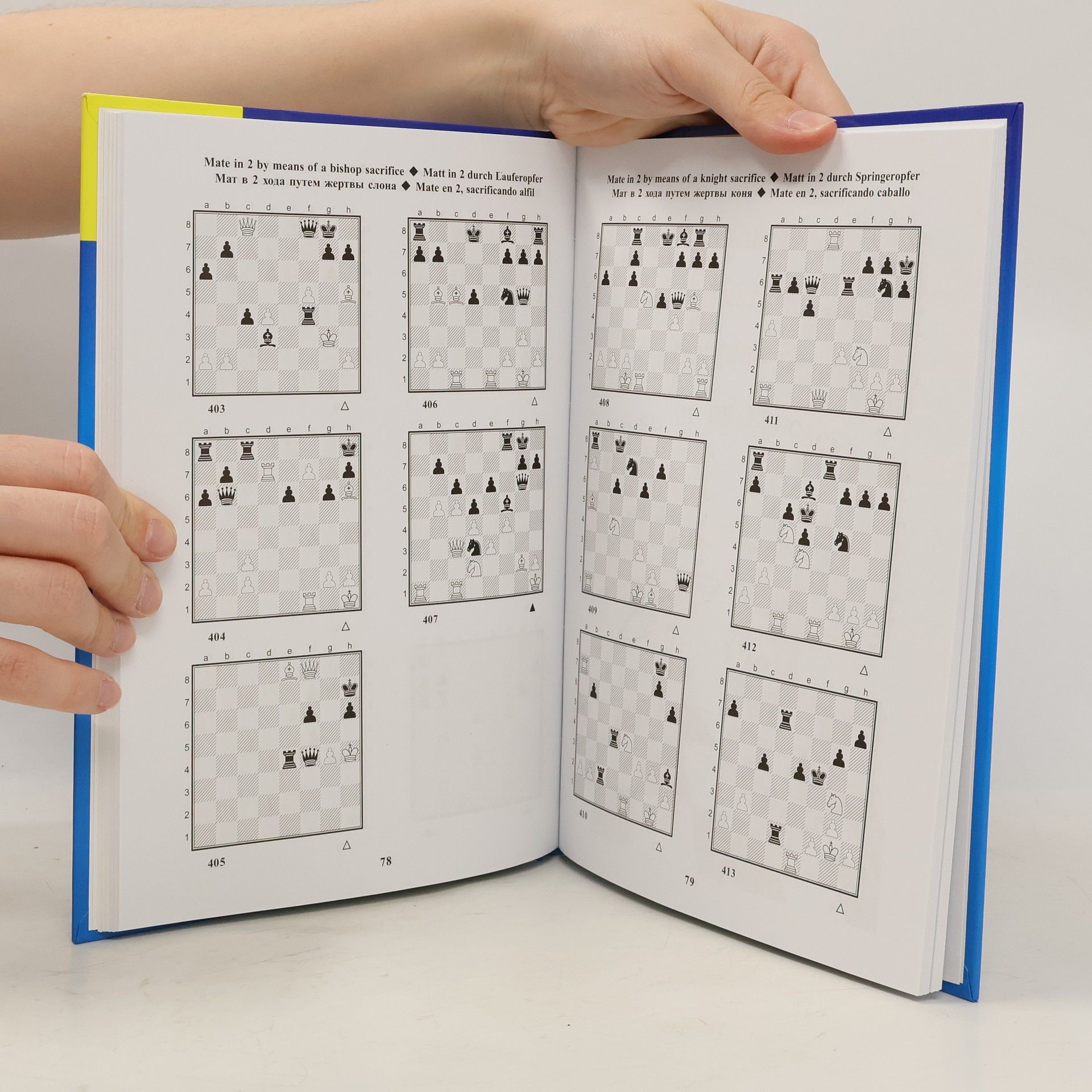 Sergey Ivashchenko The Manual of Chess Combinations 1a