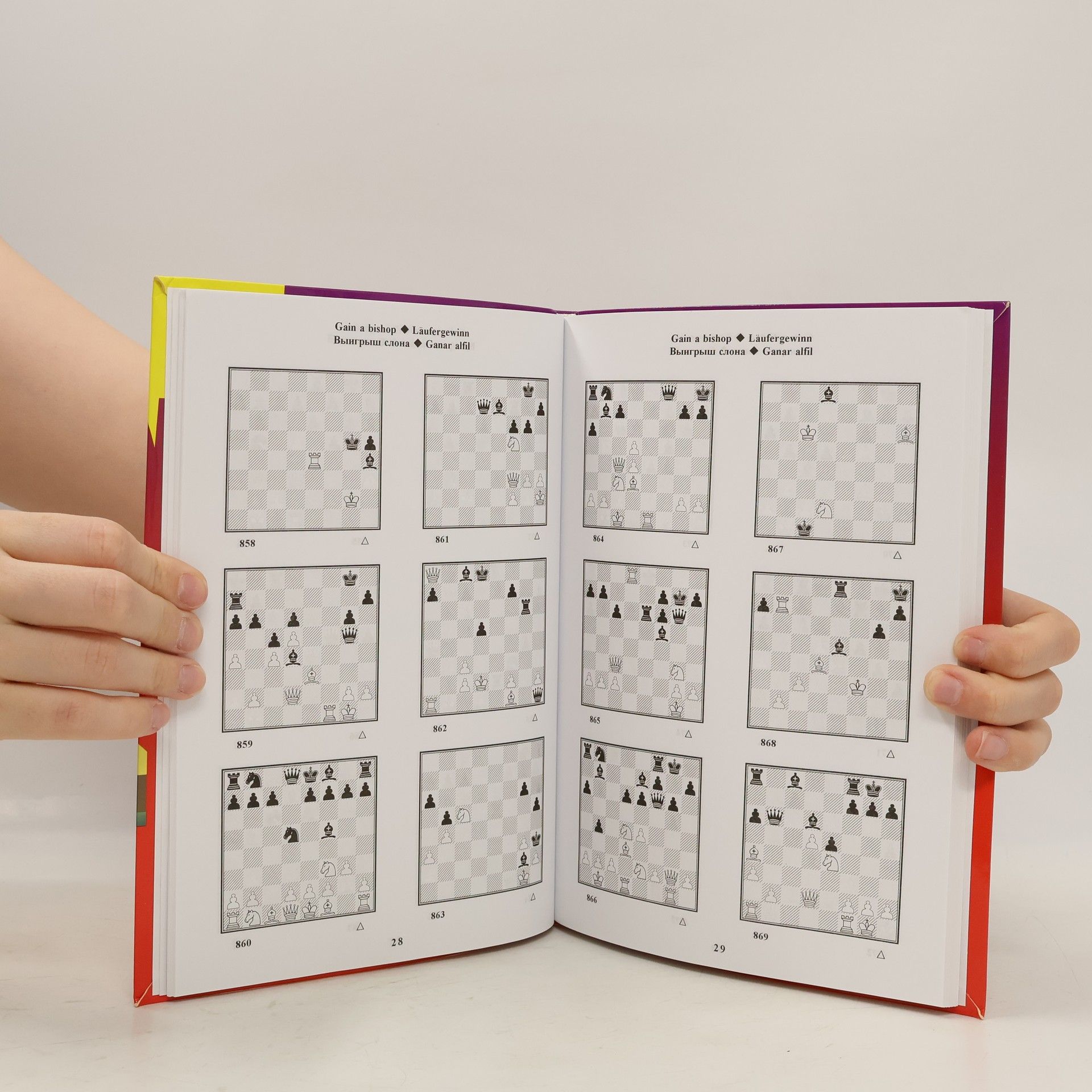 Sergey Ivashchenko The Manual of Chess Combinations 1b