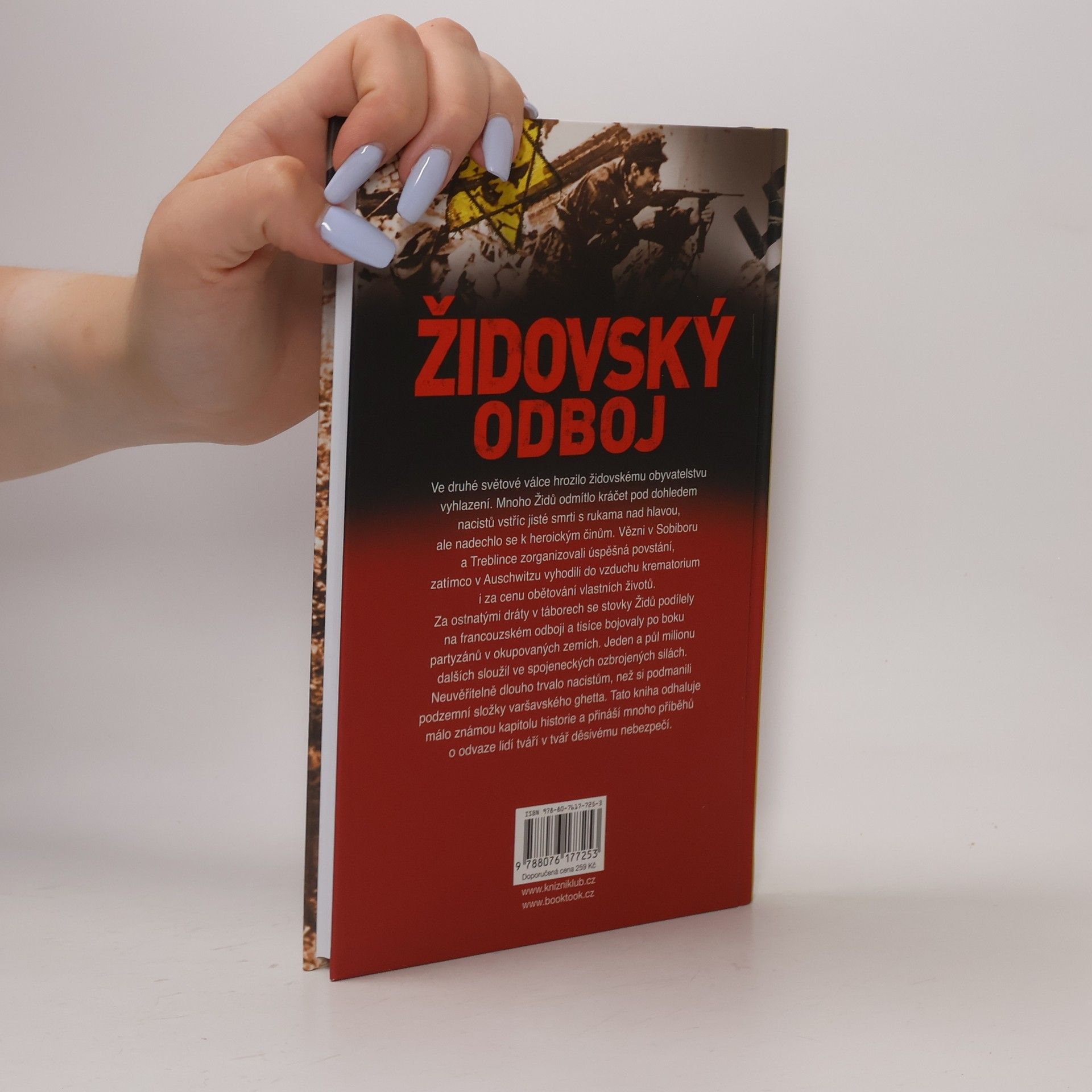 Paul Roland Židovský odboj: Povstání proti nacistům za druhé světové války