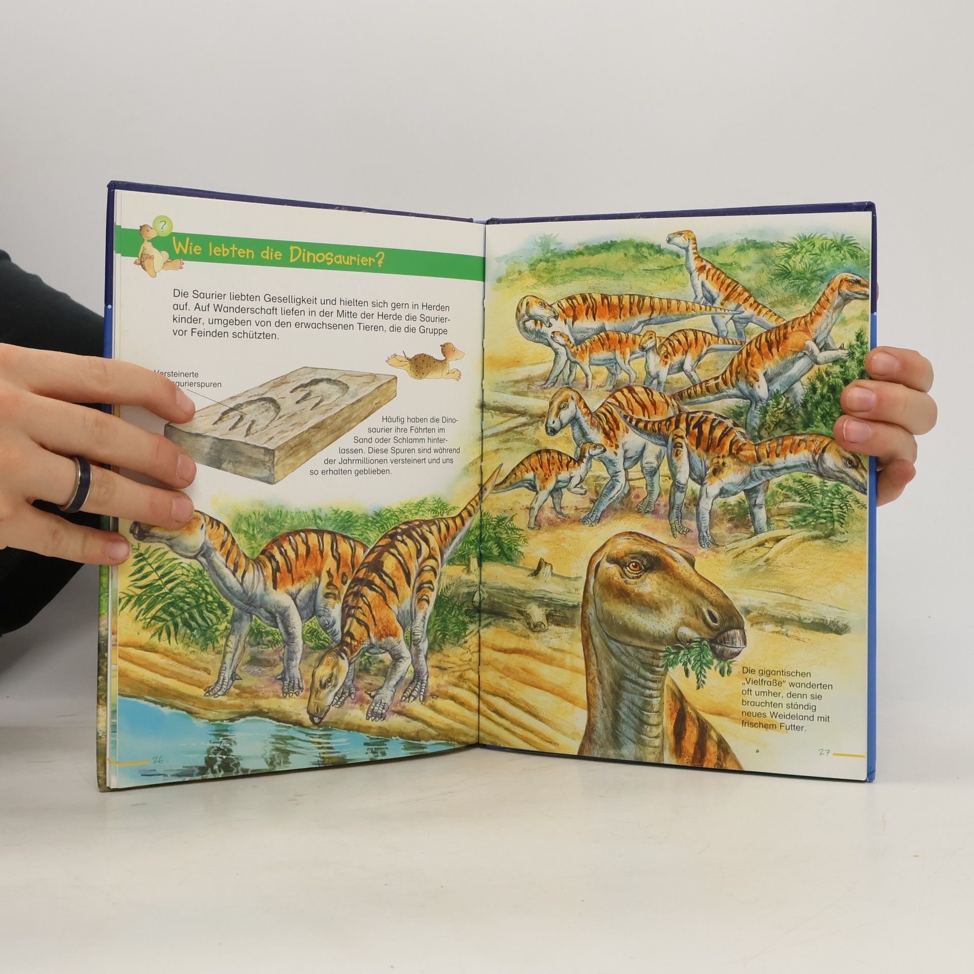 Marilis Lunkenbein Dinosaurier
