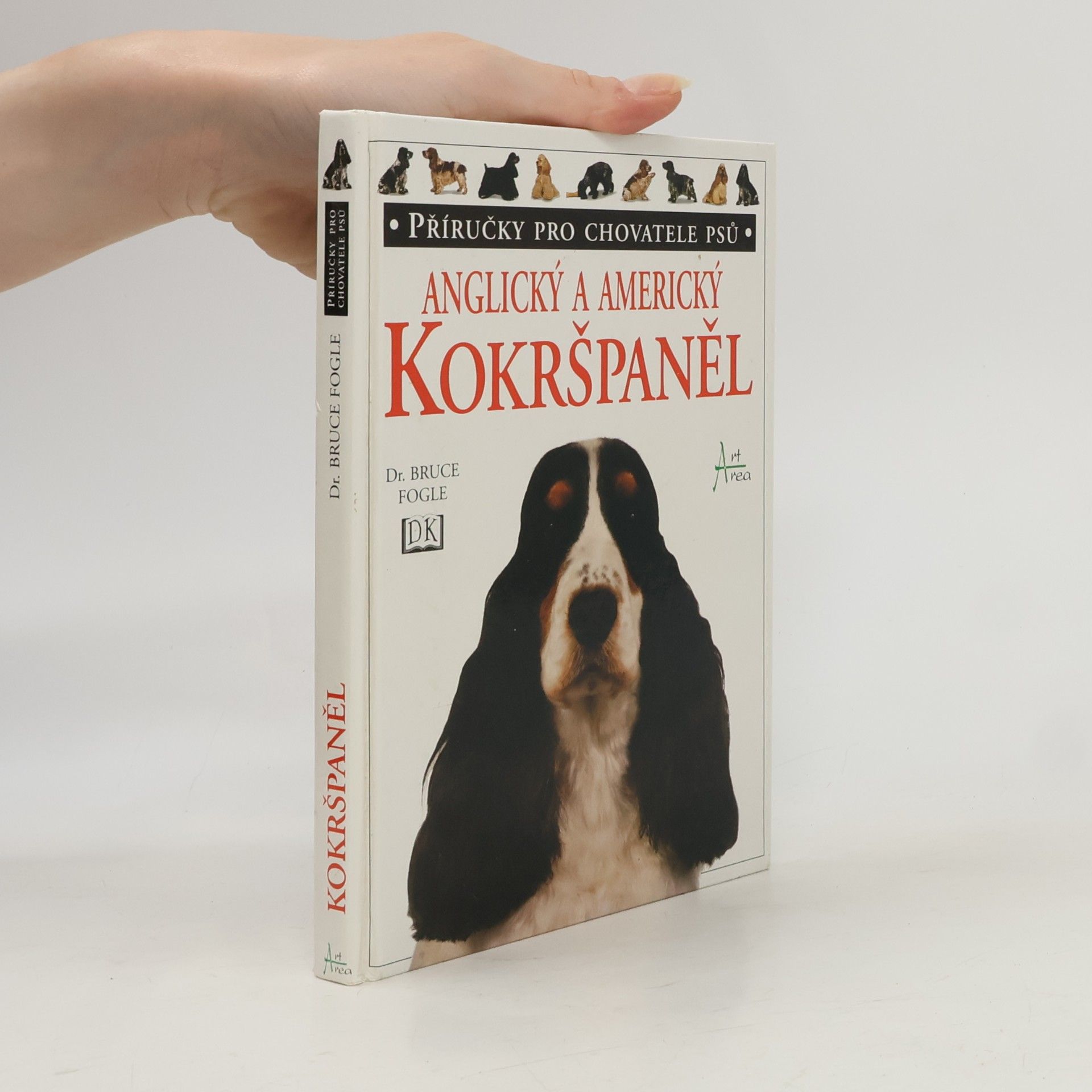 Anglický a americký kokršpaněl