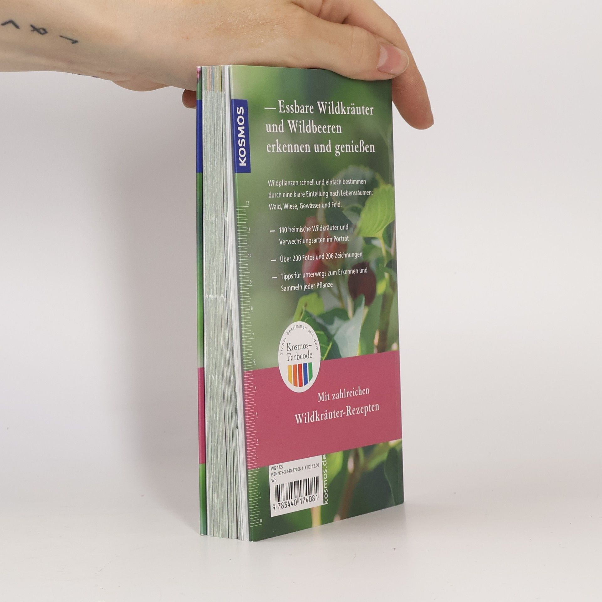 Rudi Beiser Essbare Wildkräuter und Wildbeeren für unterwegs