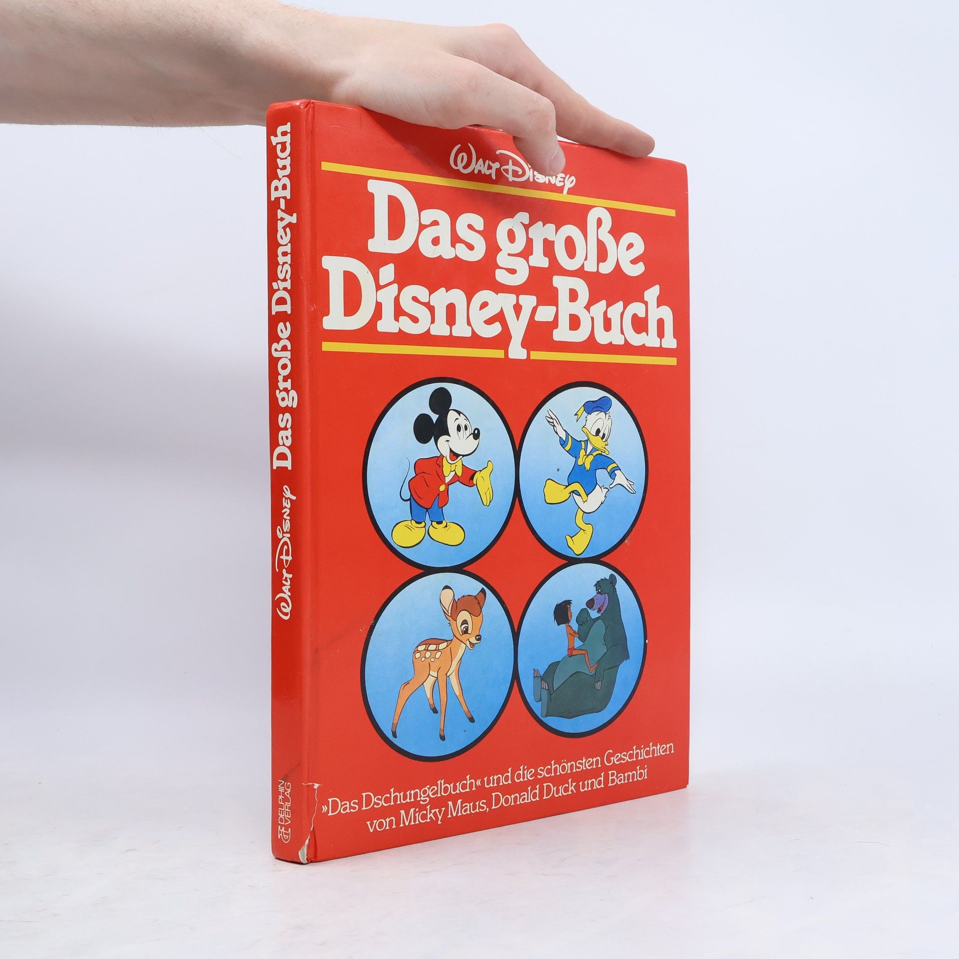 Autorenkollektiv Das große Disney-Buch