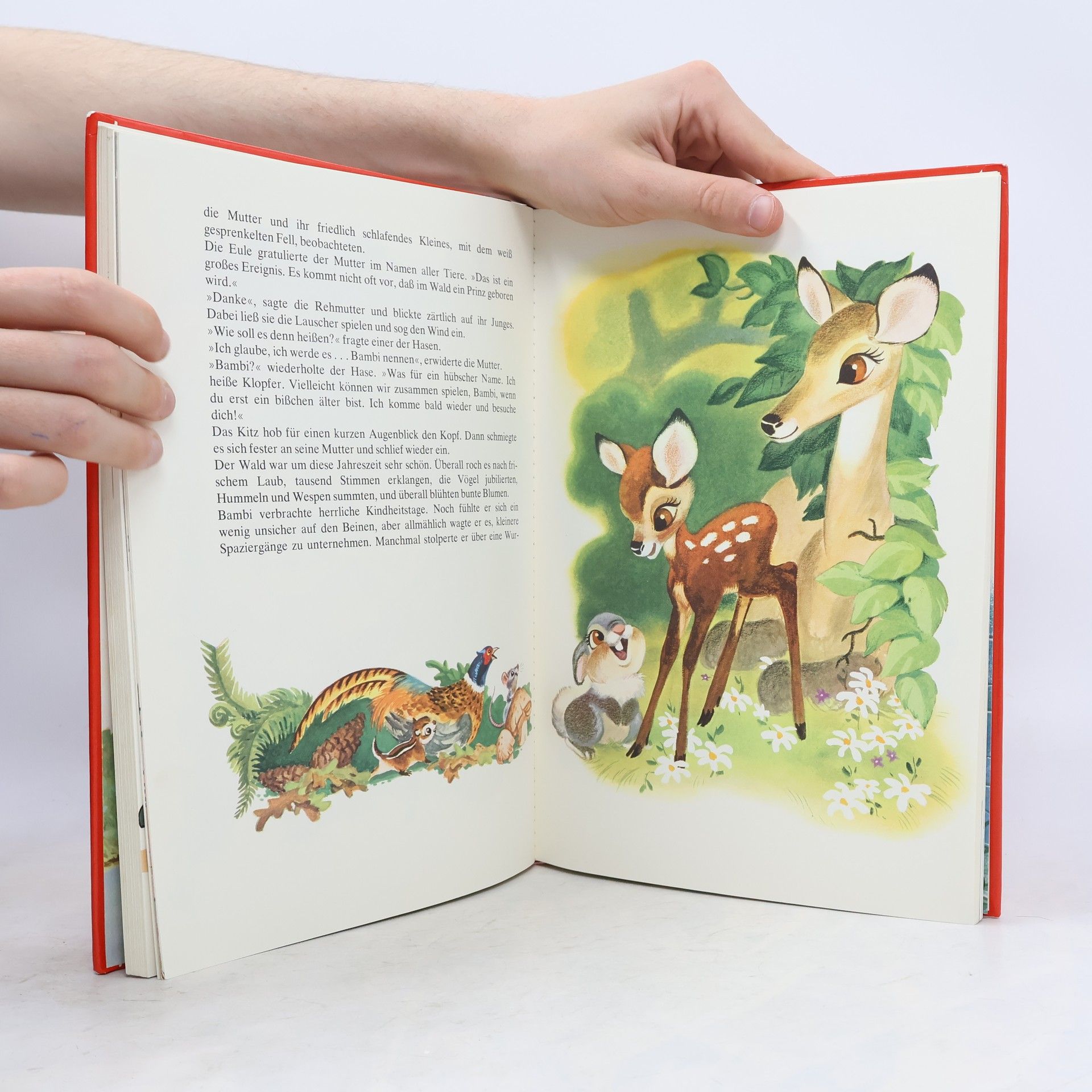 Various authors Das große Disney-Buch