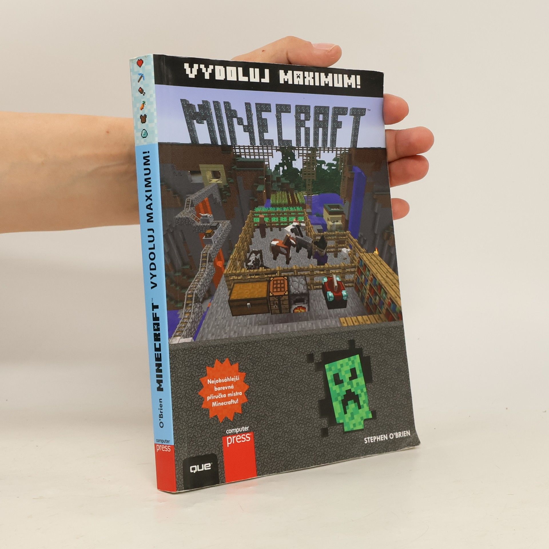 Stephen O'Brien Minecraft