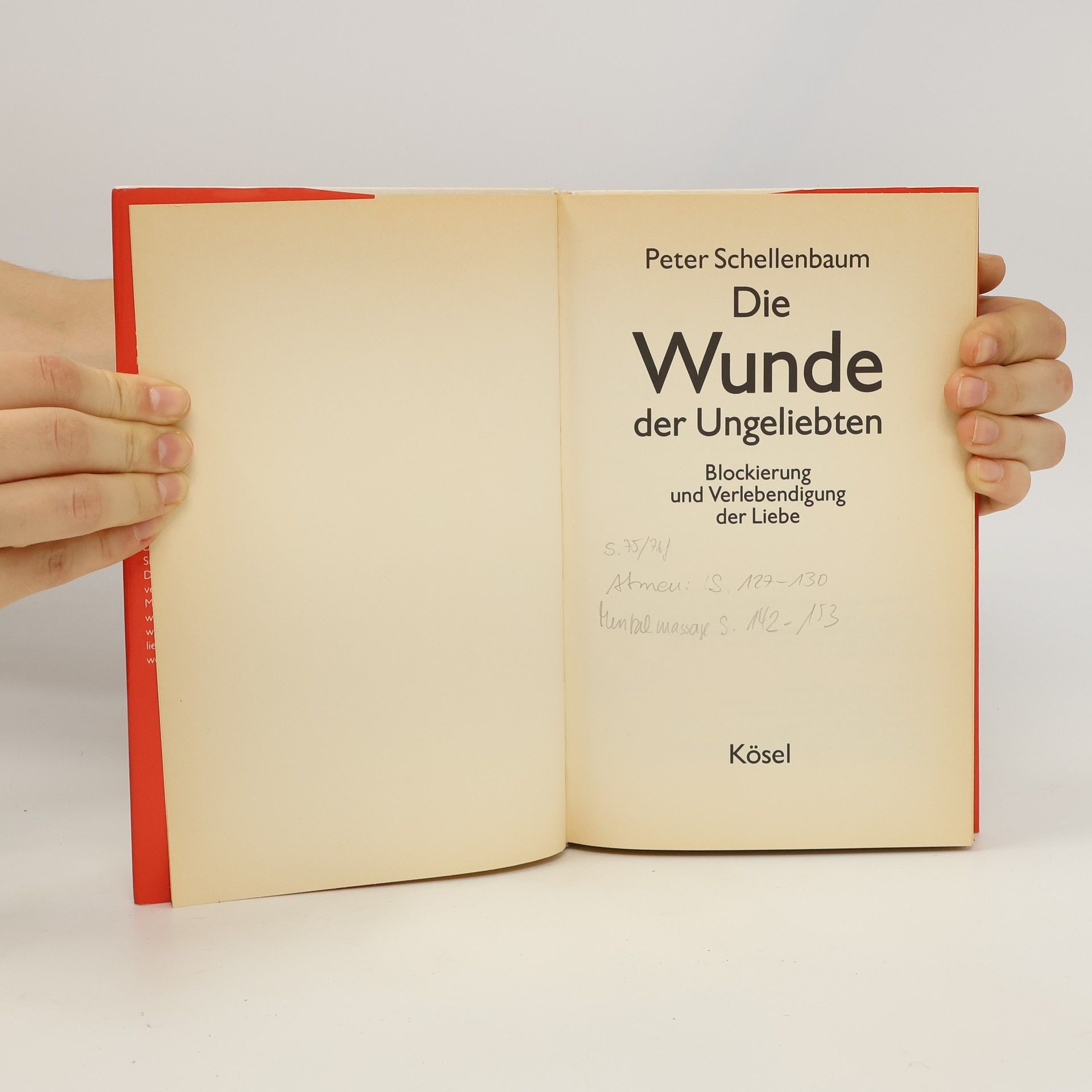 Peter Schellenbaum Die Wunde der Ungeliebten