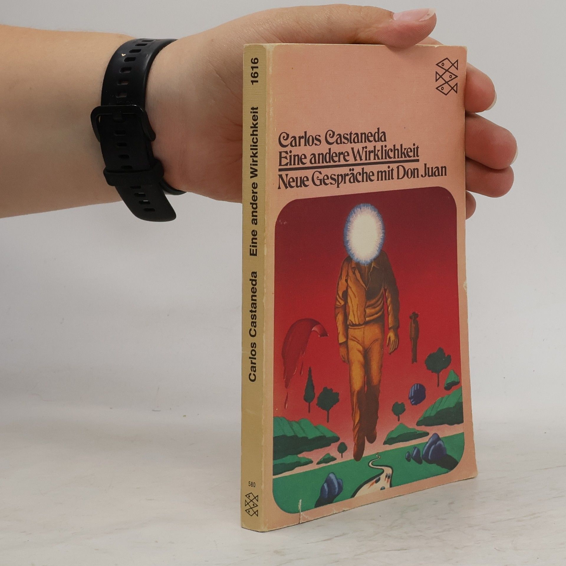 Carlos Castaneda Eine andere Wirklichkeit