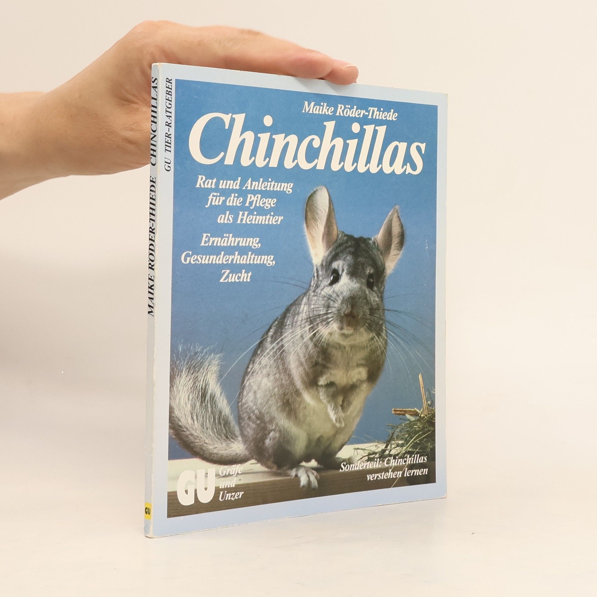 Maike RöderThiede Chinchillas