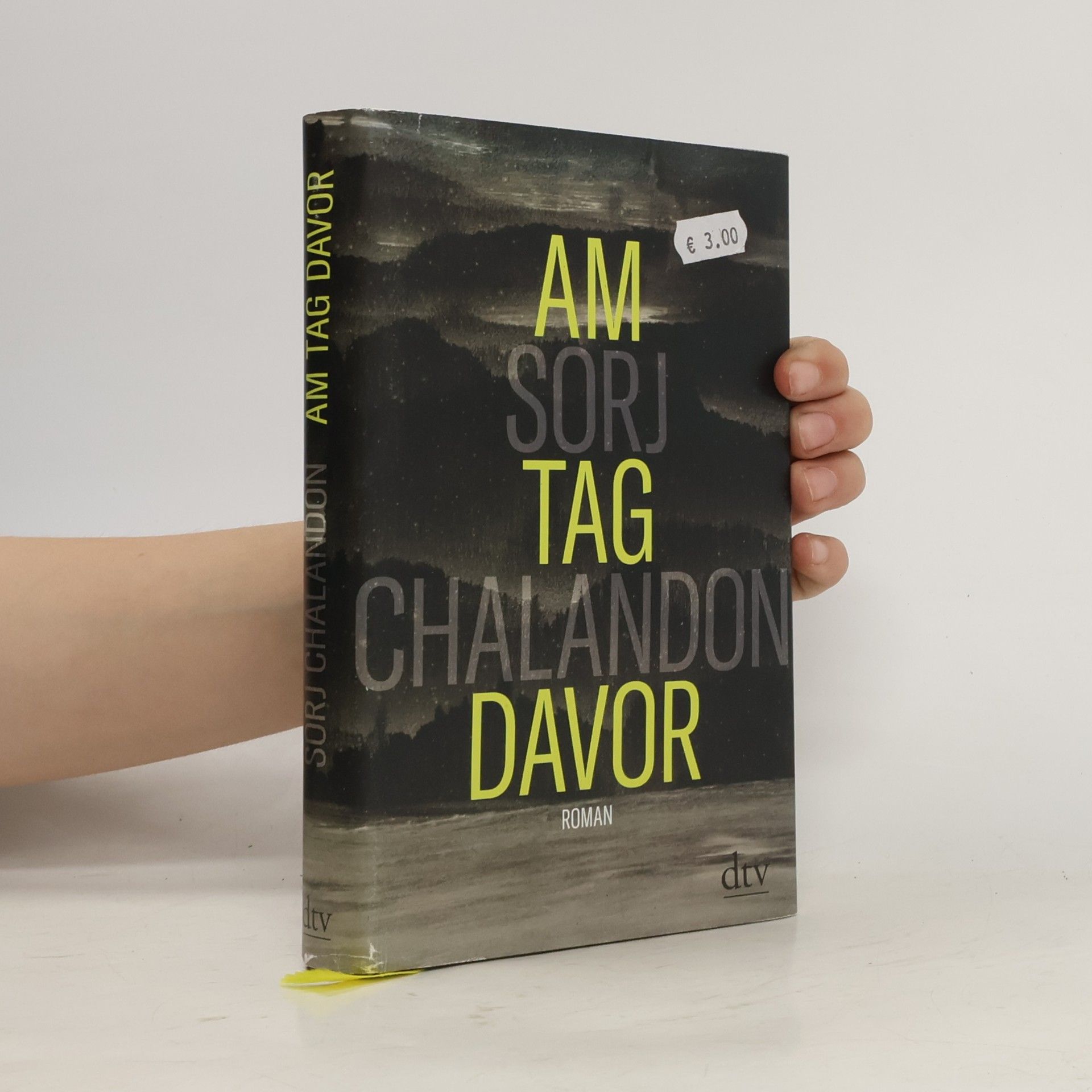 Sorj Chalandon Am Tag davor