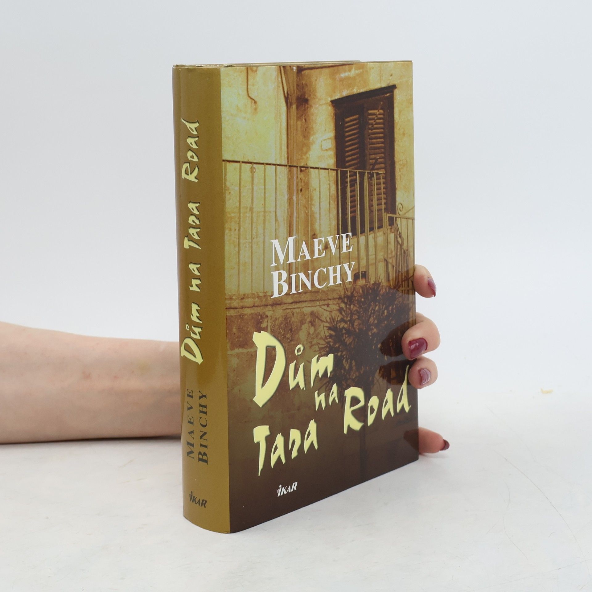 Maeve Binchy Dům na Tara Road