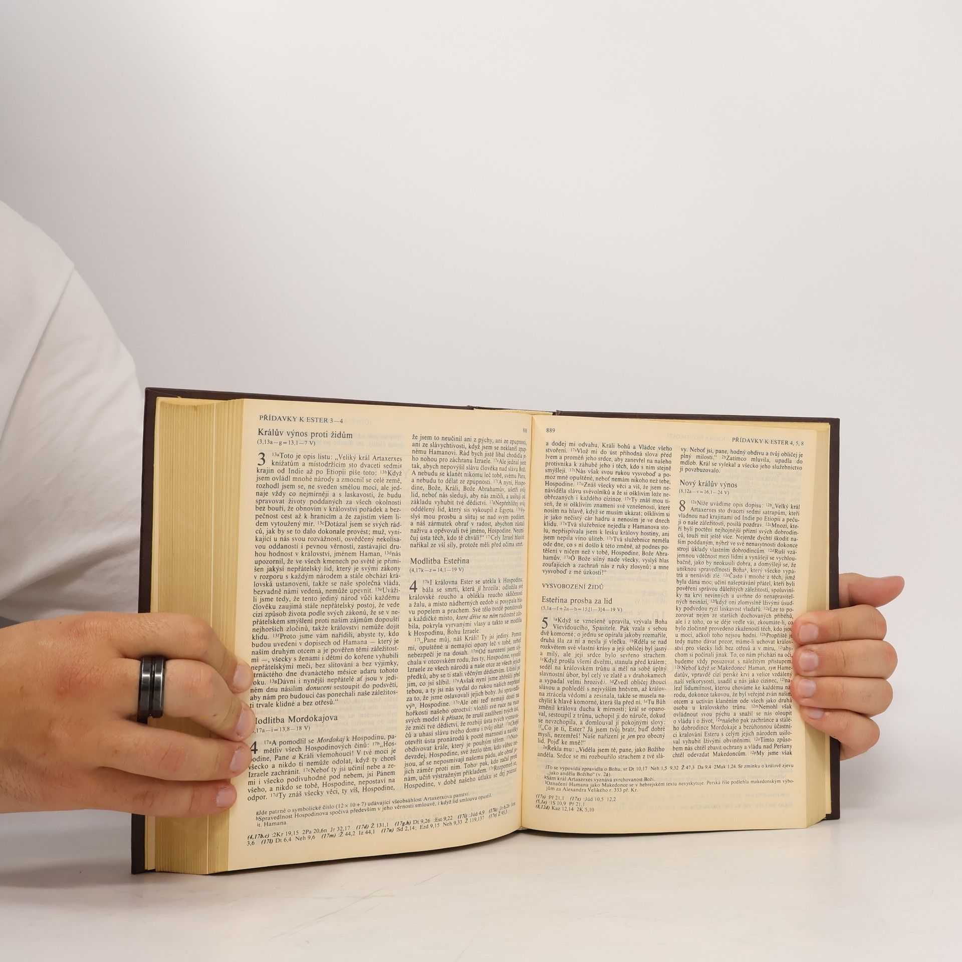 Auteurscollectief Bible