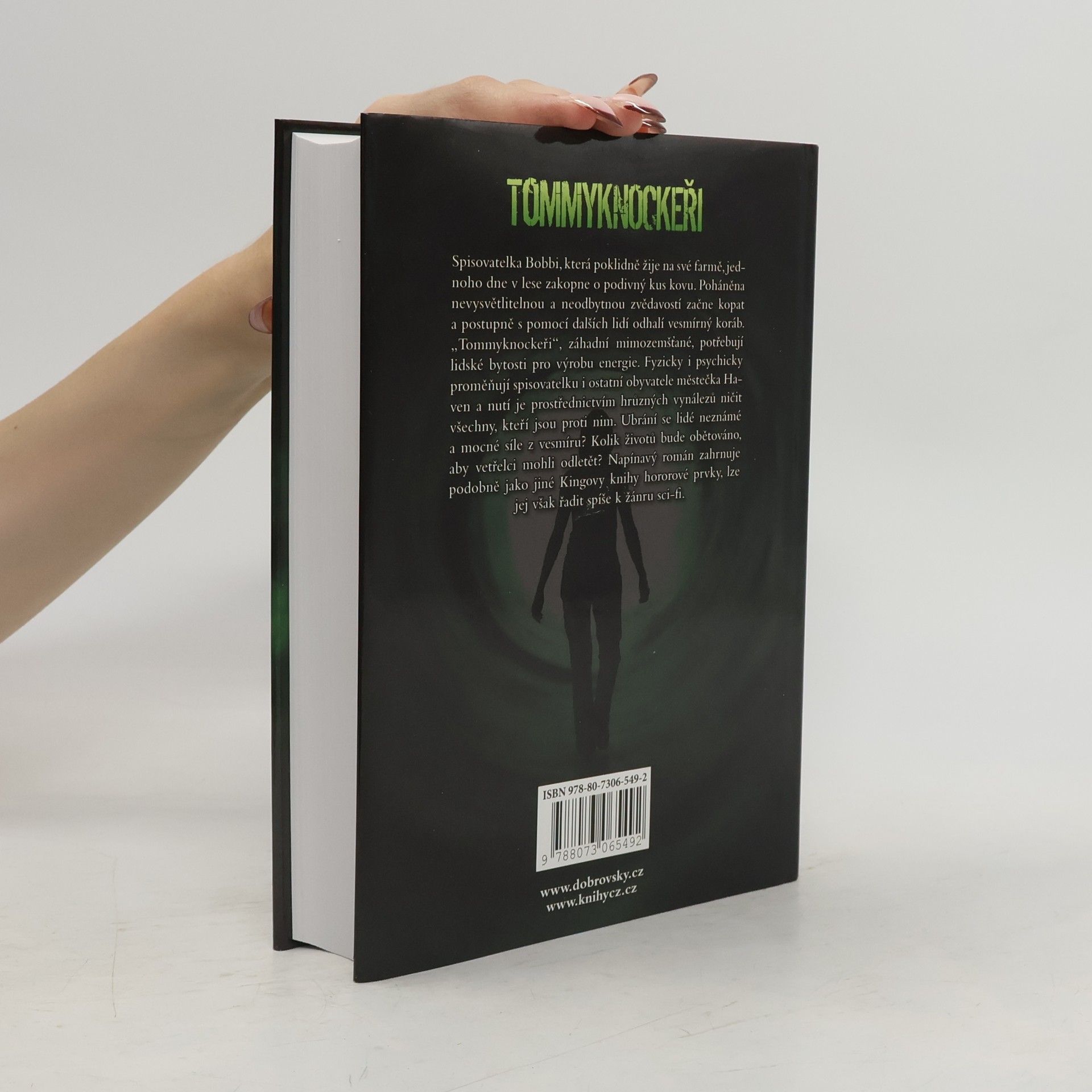 Stephen King Tommyknockeři