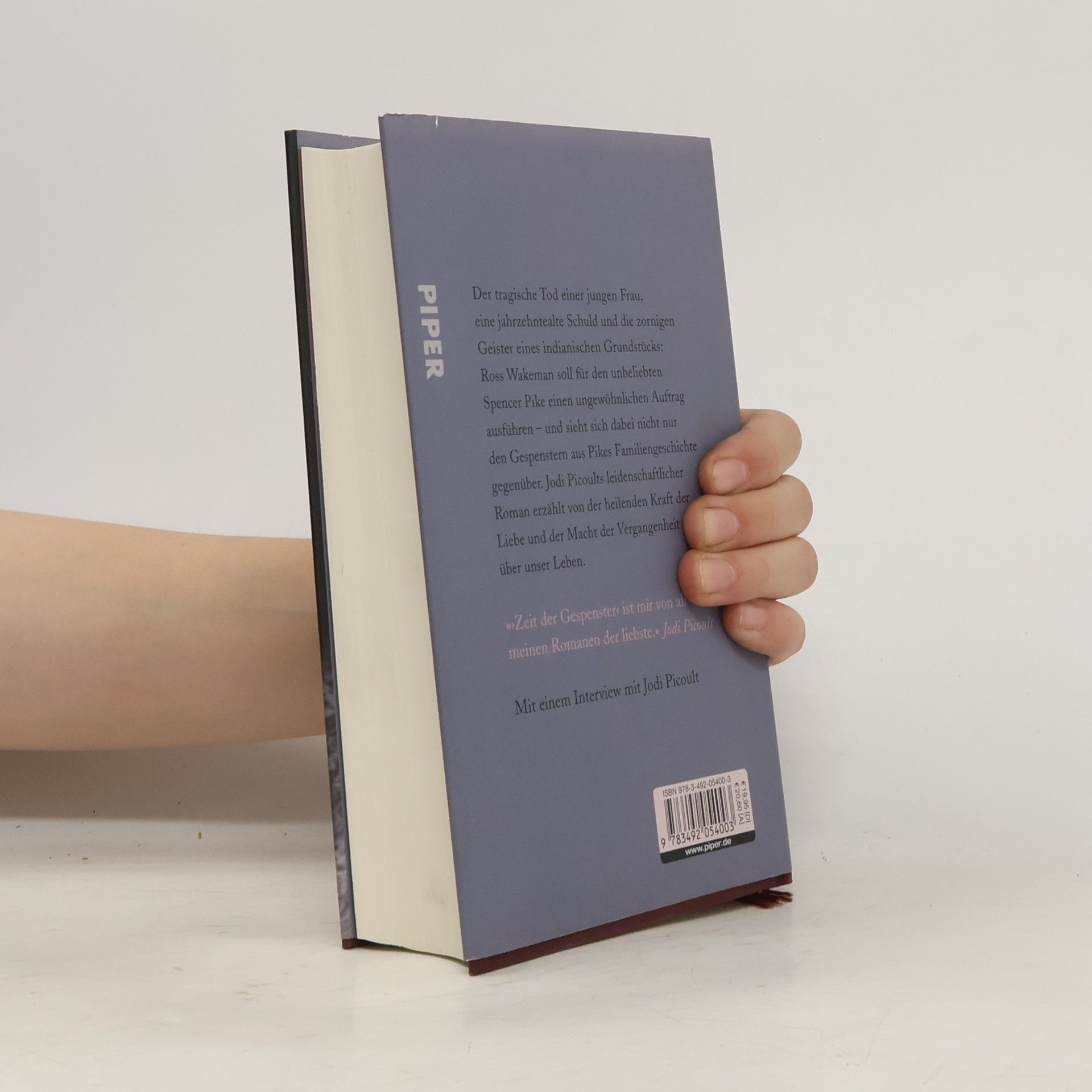Jodi Picoult Zeit der Gespenster
