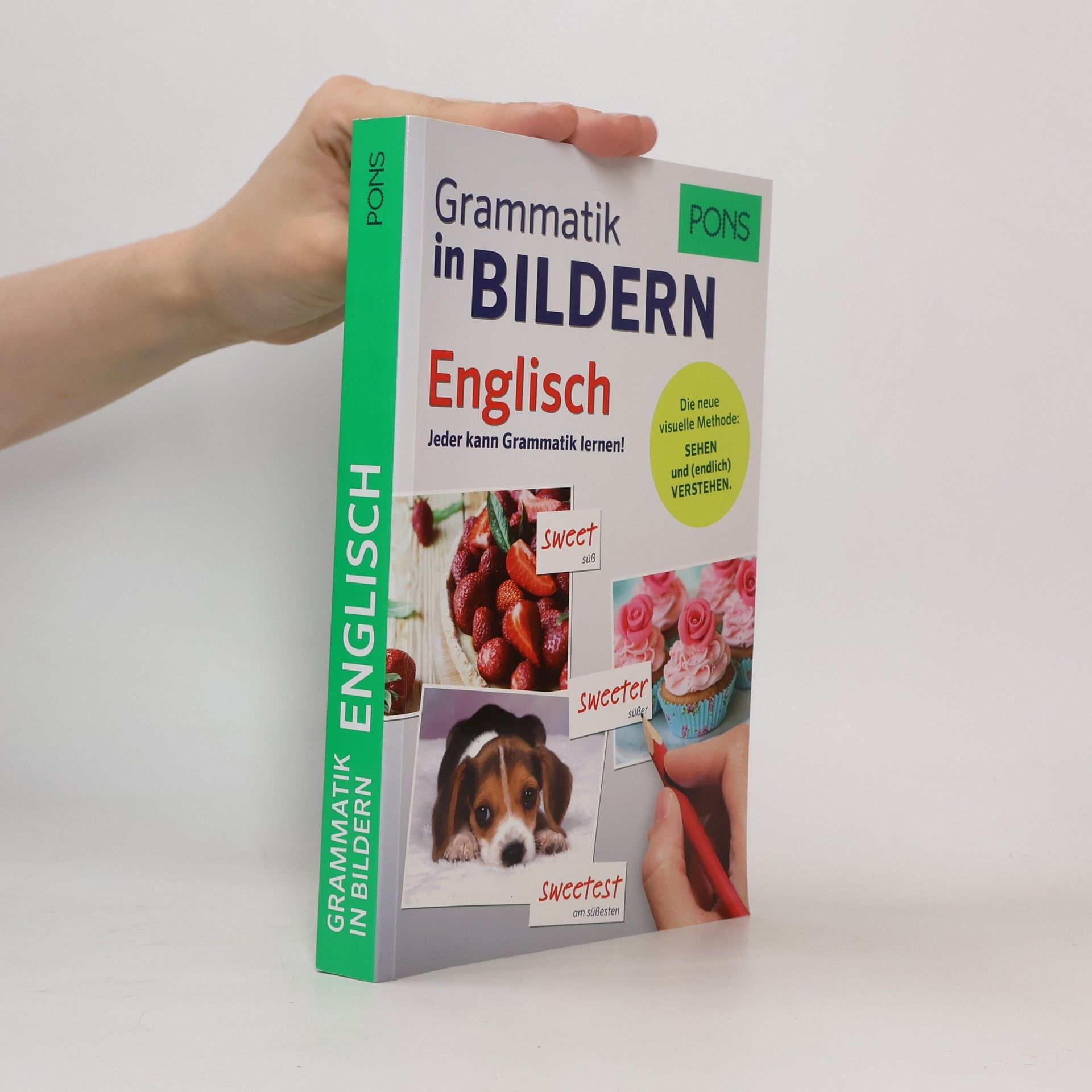 Brian Melican PONS Grammatik in Bildern Englisch