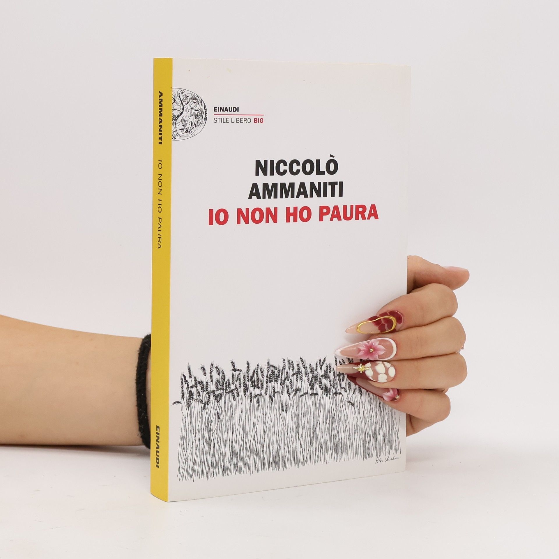 Niccolò Ammaniti Io non ho paura