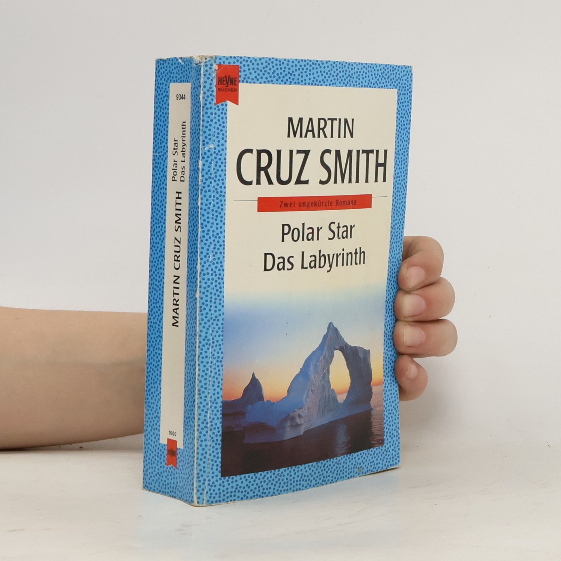 Martin Cruz-Smith Polar Star. Das Labyrinth