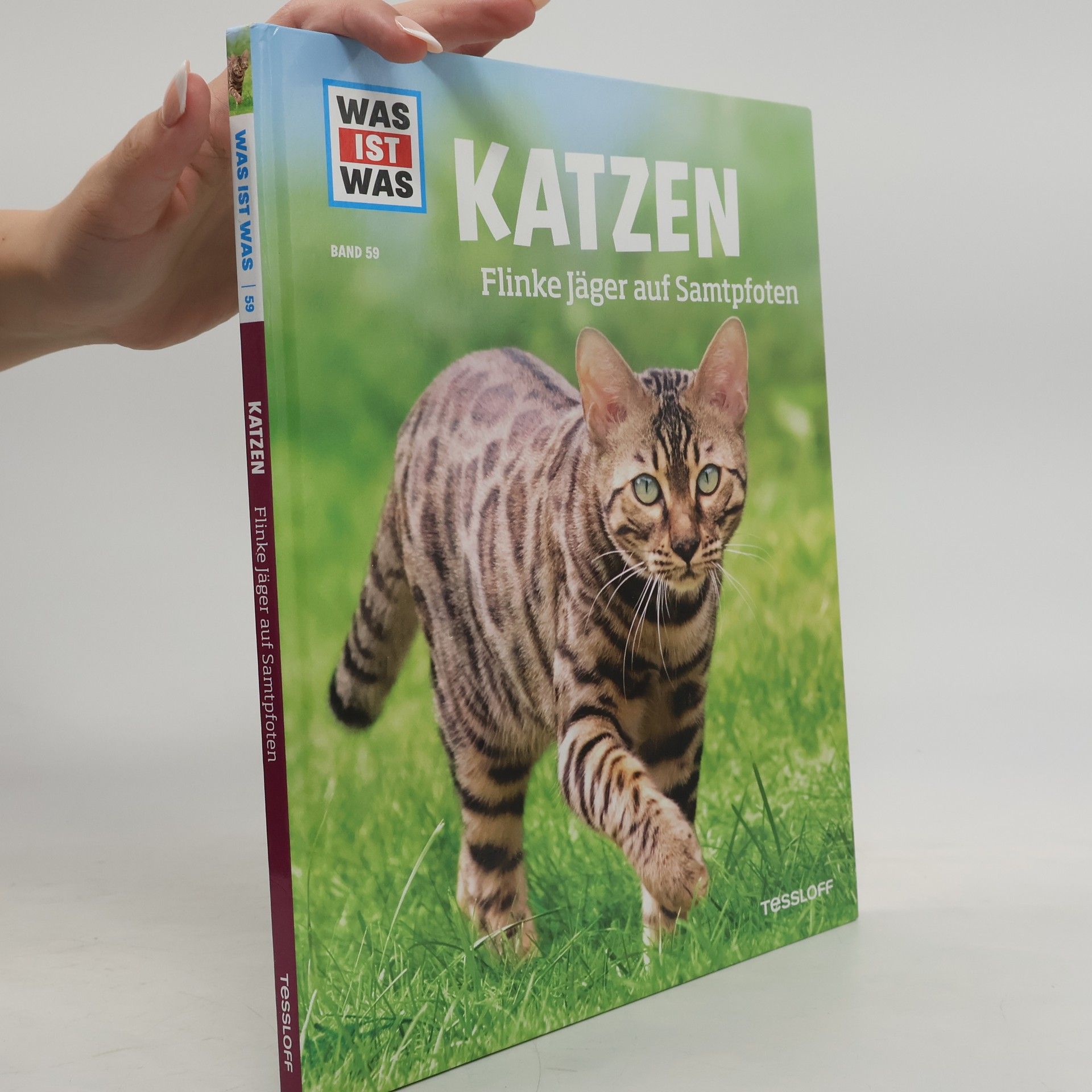 Jutta Aurahs Katzen