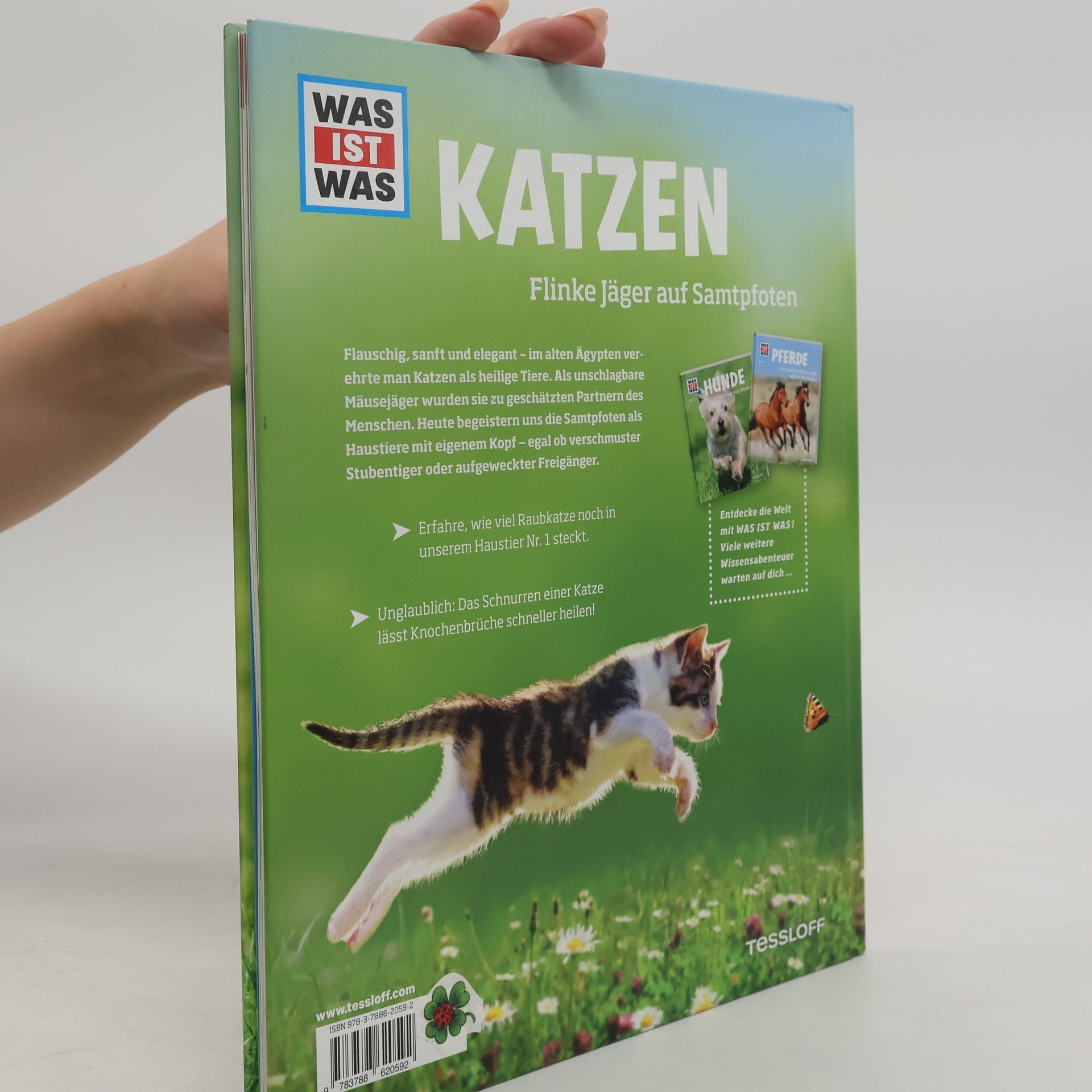 Jutta Aurahs Katzen