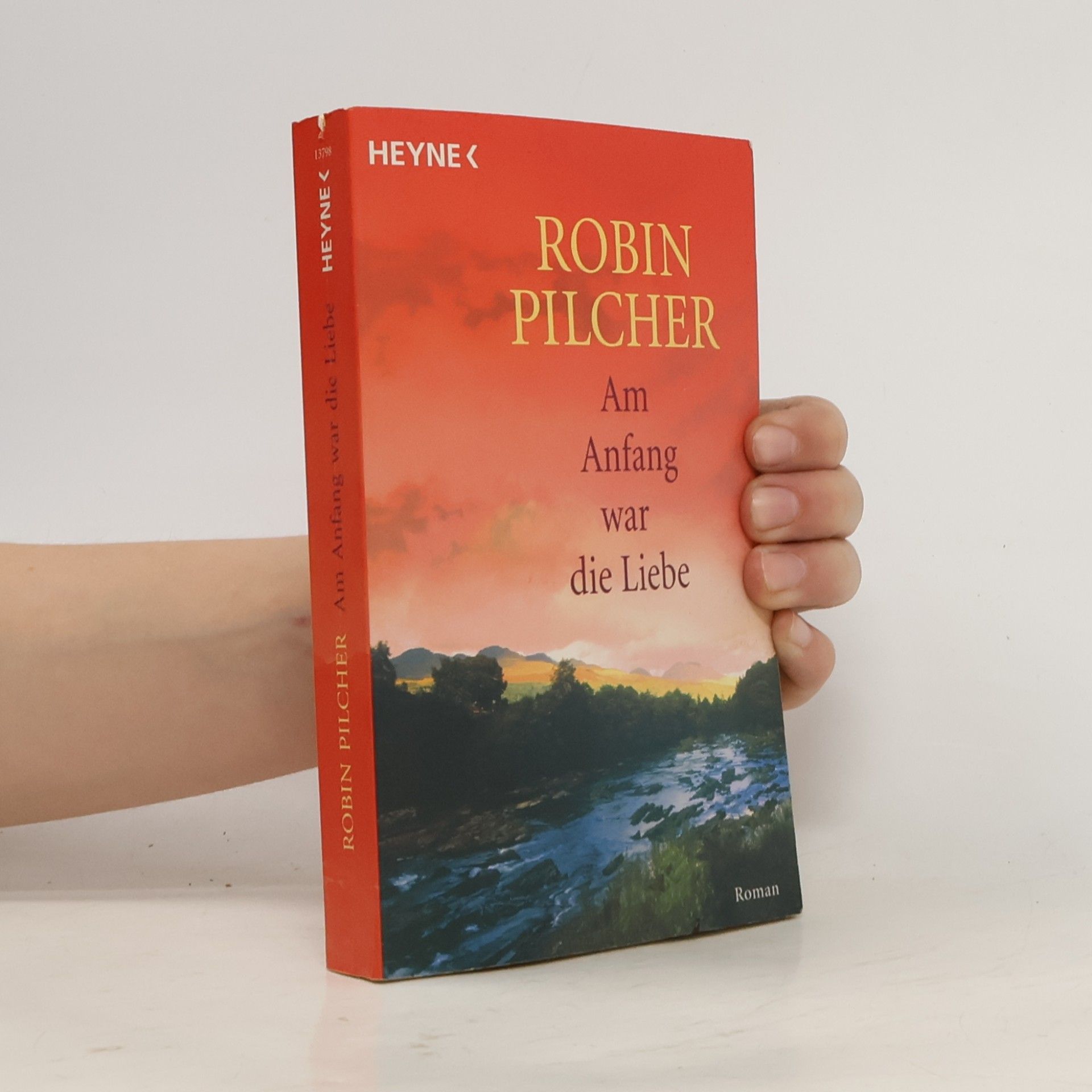 Robin Pilcher Am Anfang war die Liebe