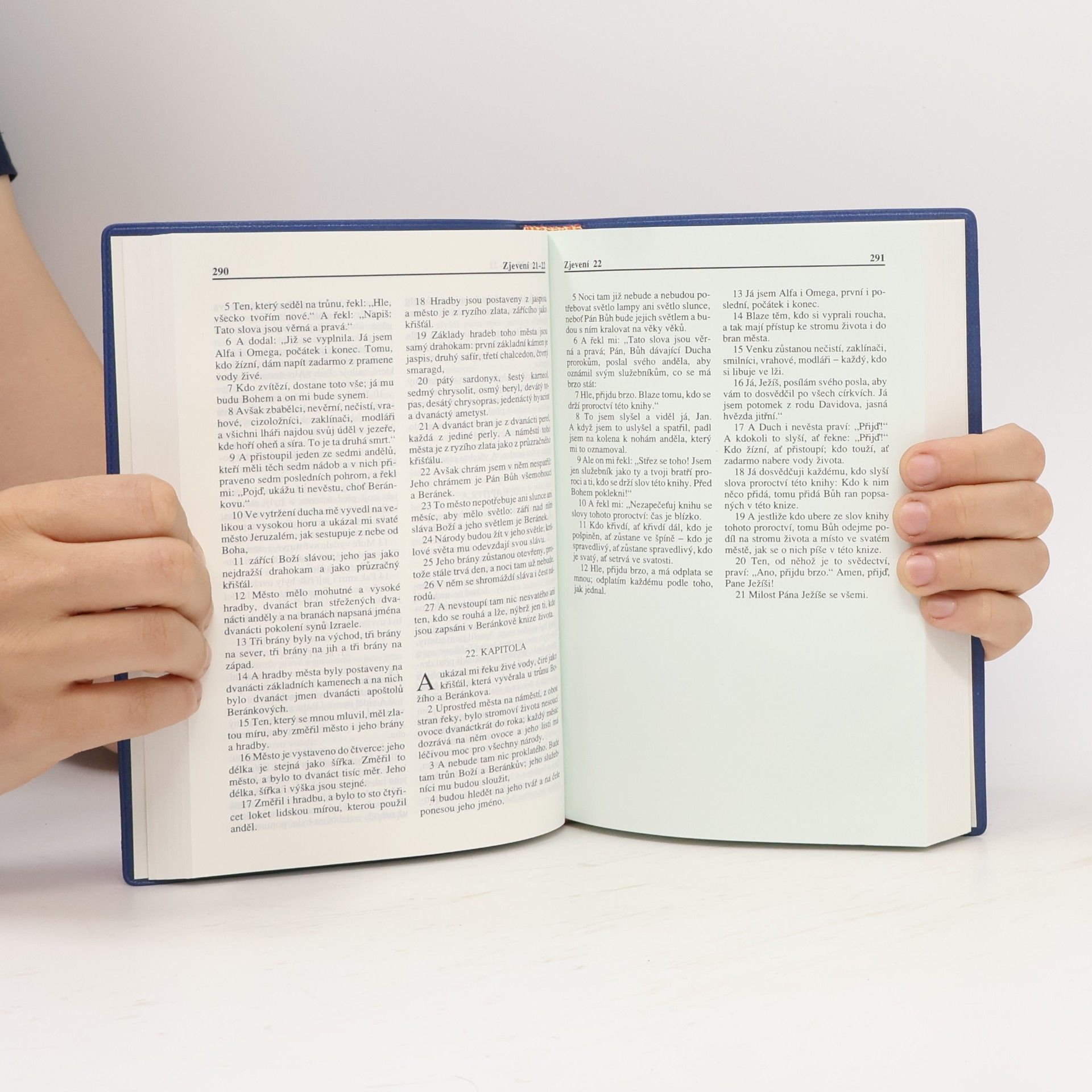 Various authors Nový zákon. Das neue Testament. The New Testament