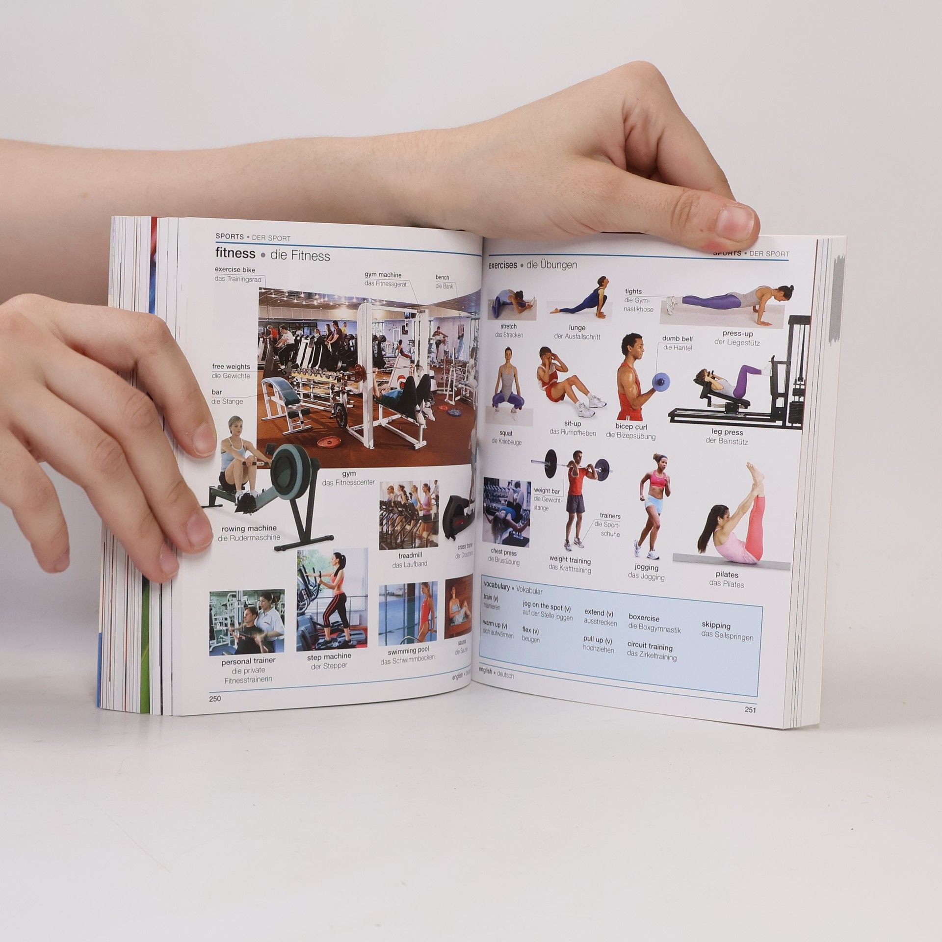 Visuelles Wörterbuch Englisch - Deutsch
