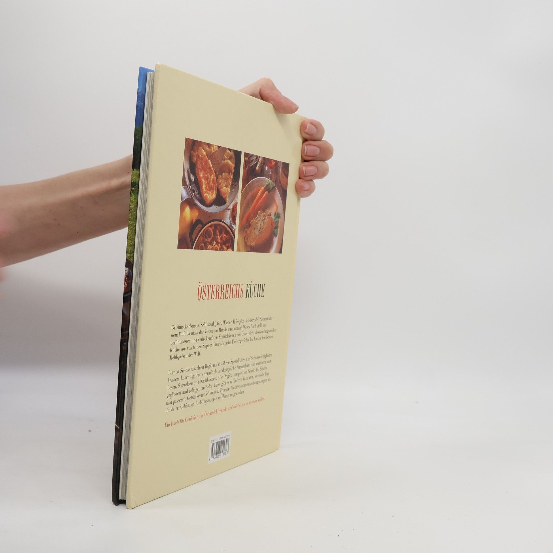Adelheid Beyreder Österreichs Küche. Über 170 Originalrezepte