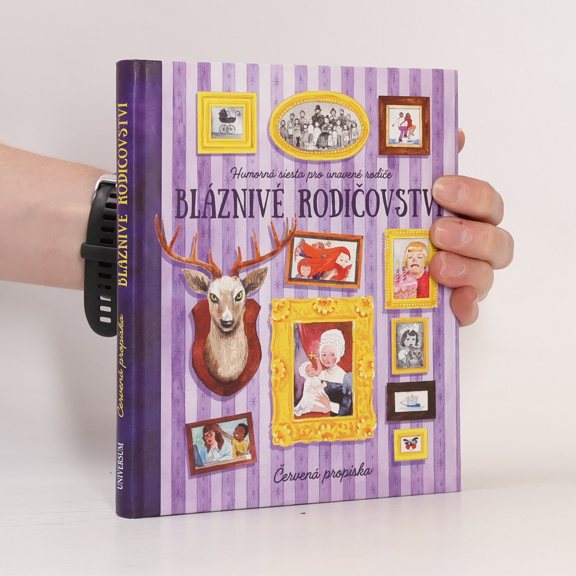 Collectif d'auteurs Bláznivé rodičovství. Humorná siesta pro unavené rodiče