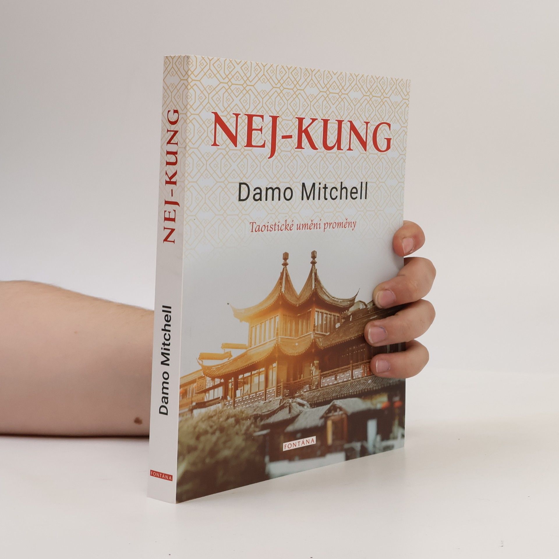 Damo Mitchell Nej-kung - Taoistické umění proměny