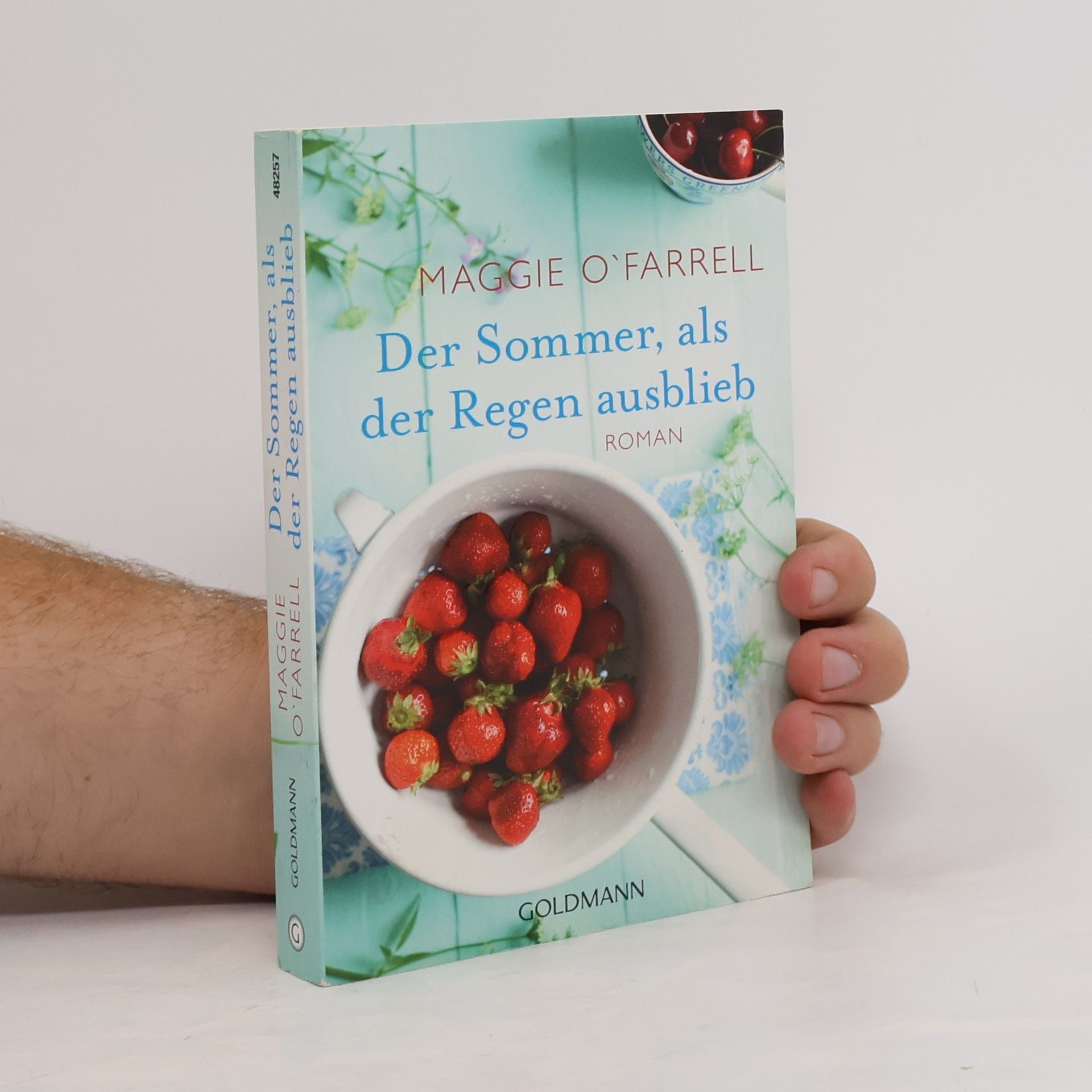 Maggie O. Farrell Der Sommer, als der Regen ausblieb