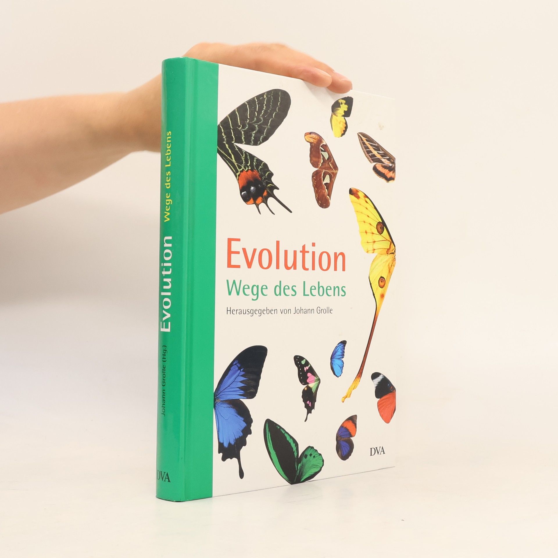 Johann Grolle Evolution