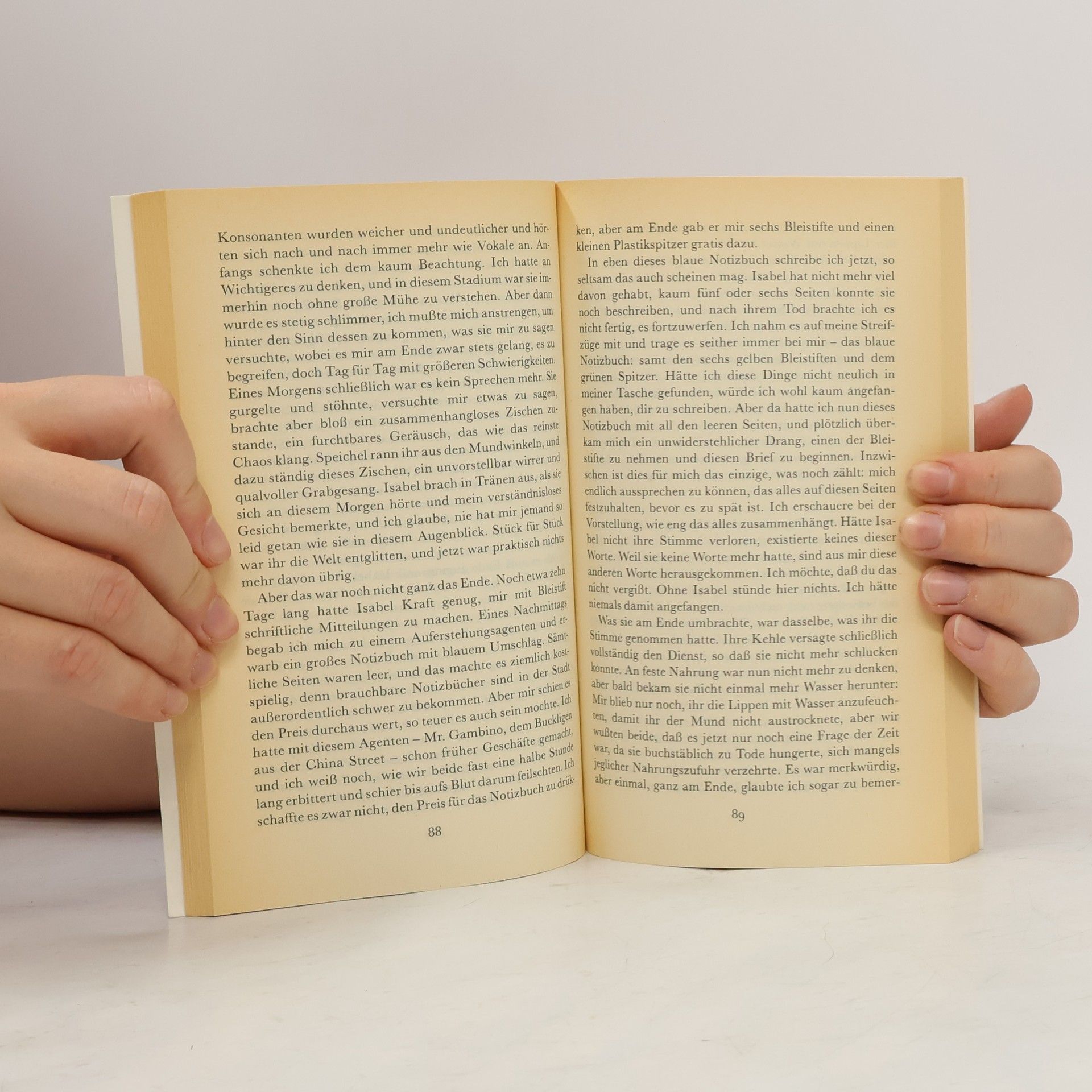 Paul Auster Im Land der letzten Dinge