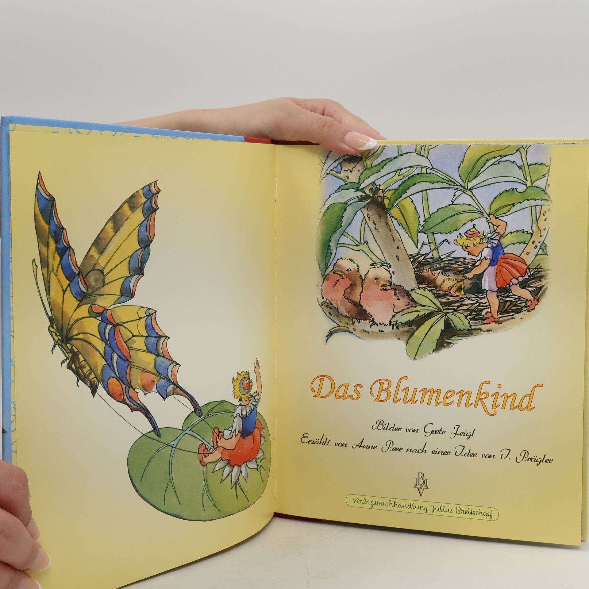 Autorenkollektiv Das Blumenkind