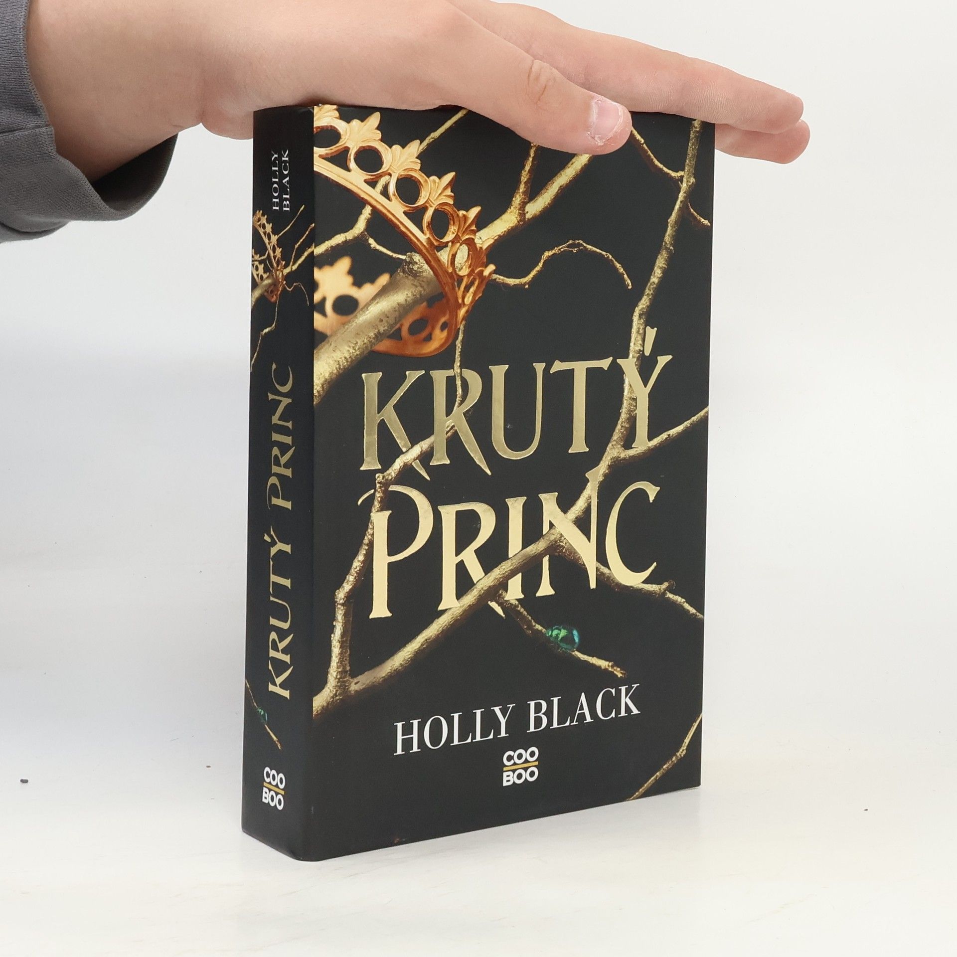 Holly Black Krutý princ