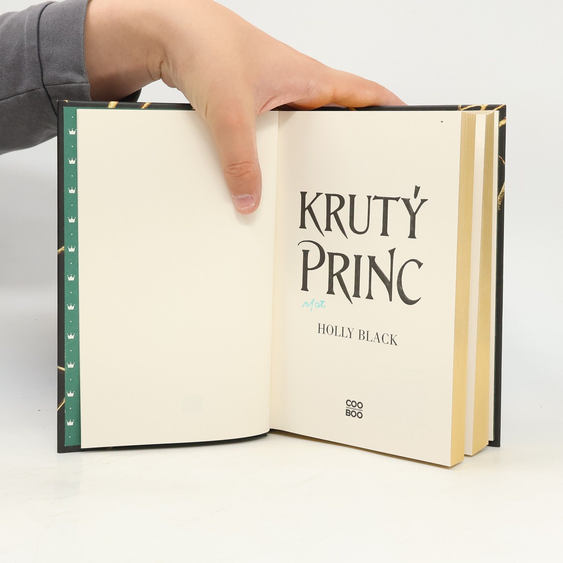 Holly Black Krutý princ