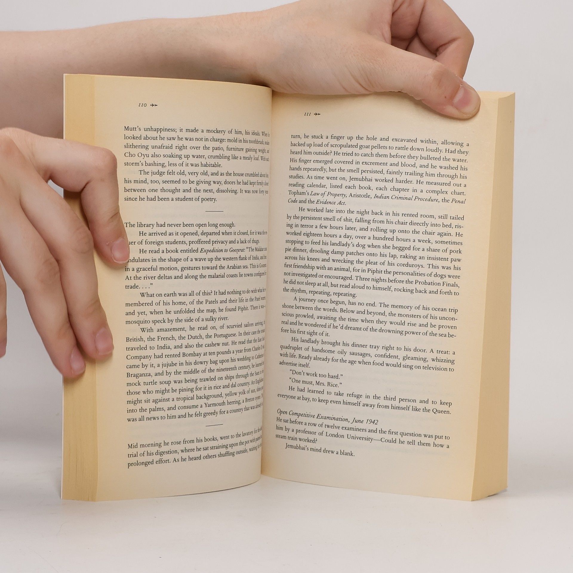 Kiran Desai The inheritance of loss