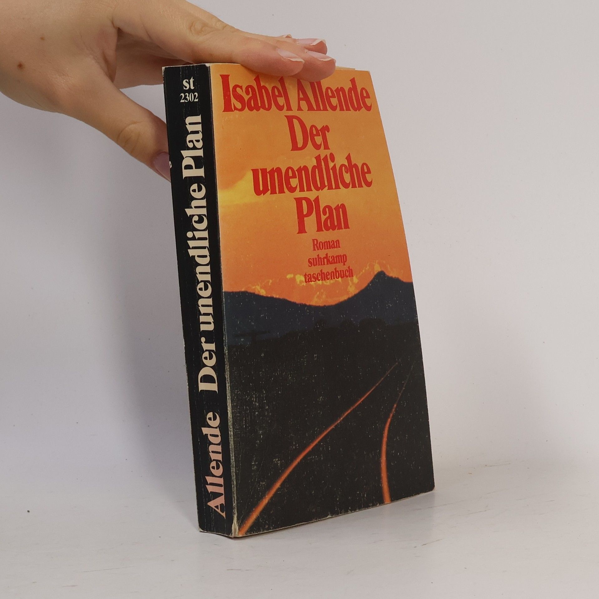 Isabel Allende Der unendliche Plan