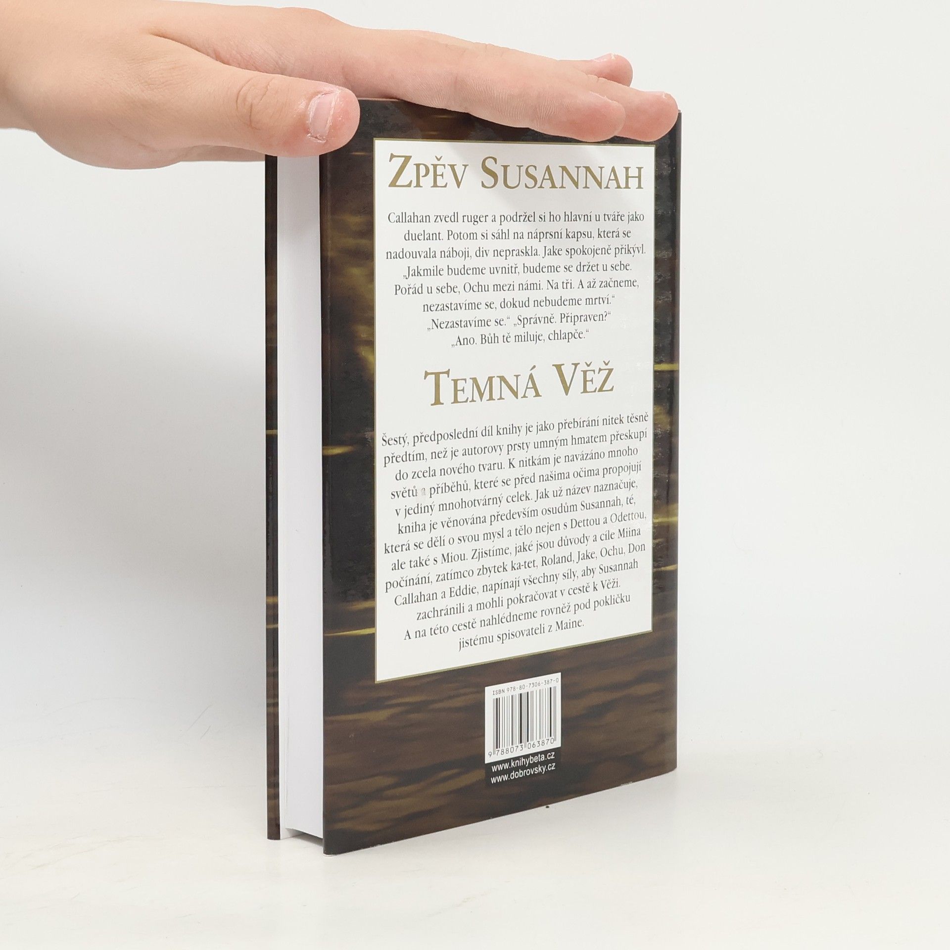Stephen King Temná věž: Zpěv Susannah
