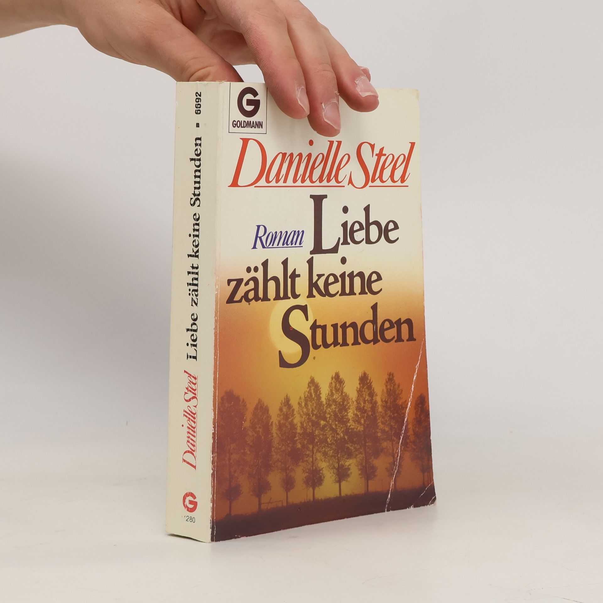 Danielle Steel Liebe zählt keine Stunden