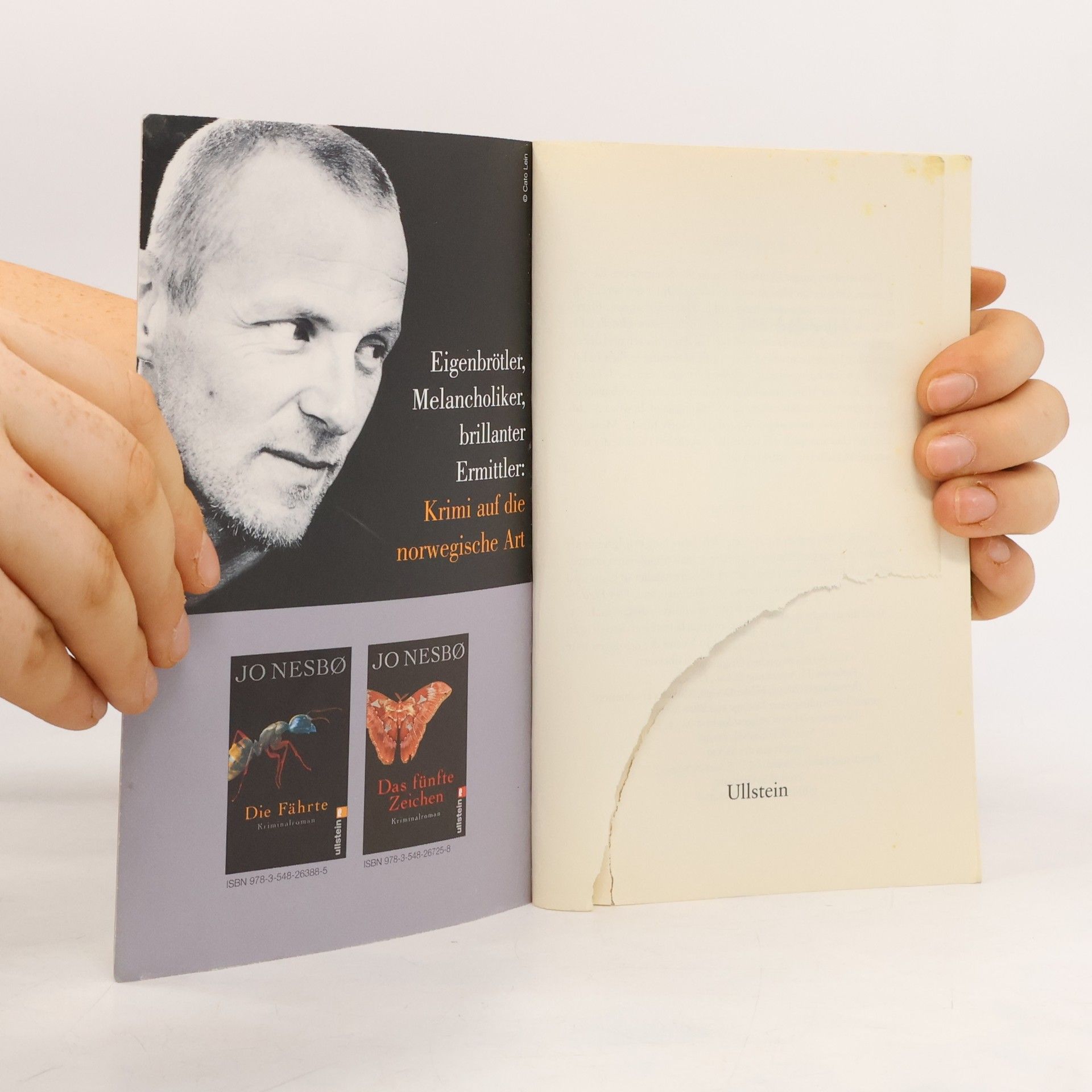 Jo Nesbø Der Erlöser