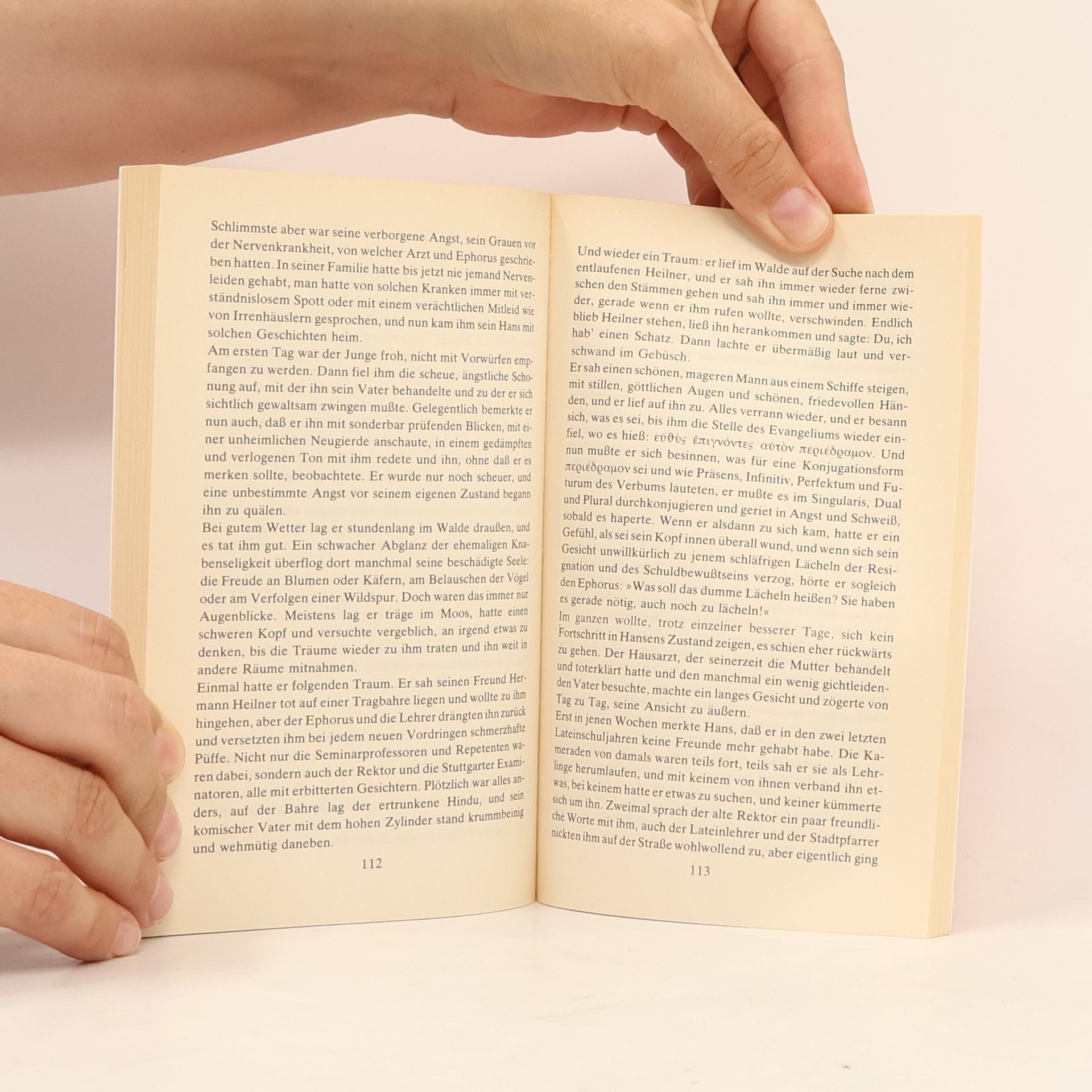 Hermann Hesse Unterm Rad
