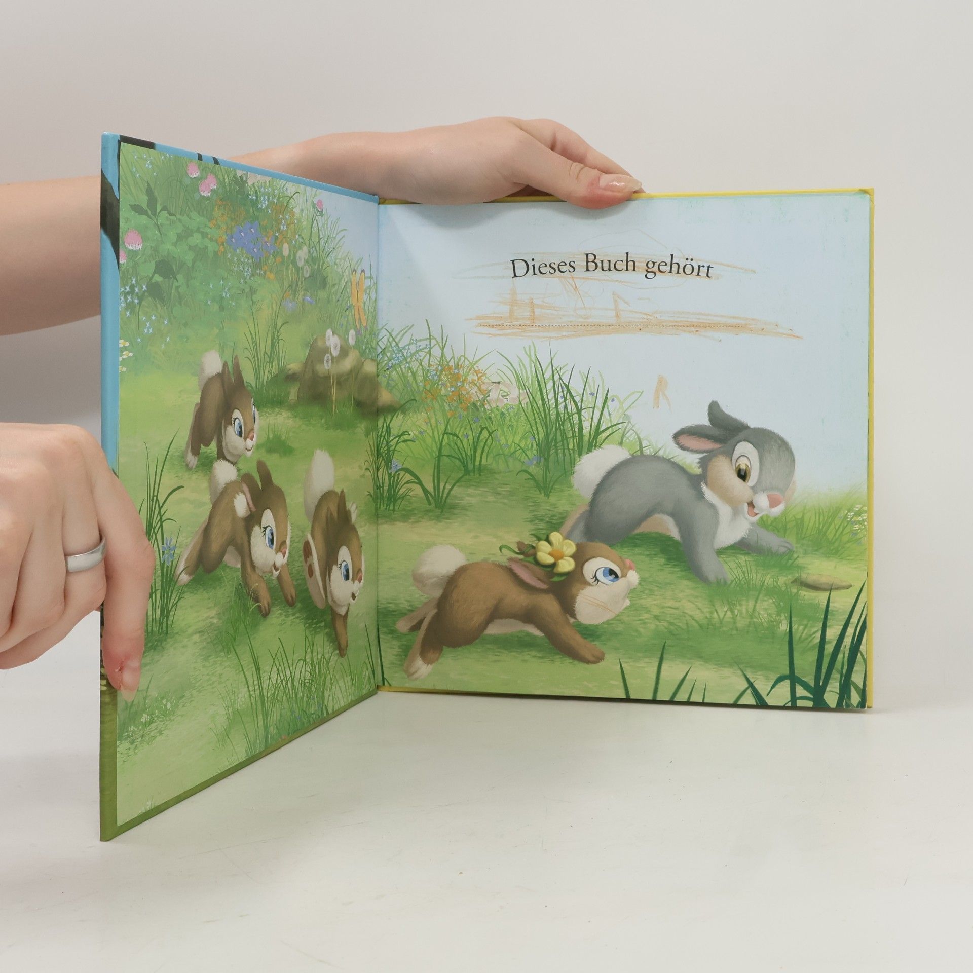 Walt Disney Klopfers Neuer Freund. Storybuch
