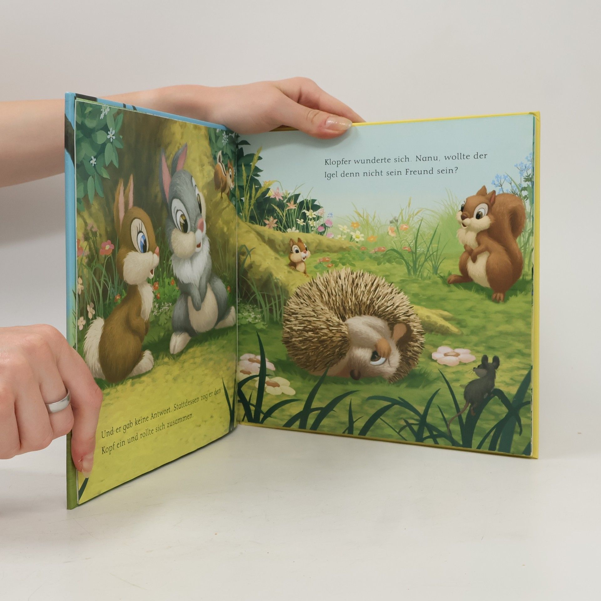 Walt Disney Klopfers Neuer Freund. Storybuch