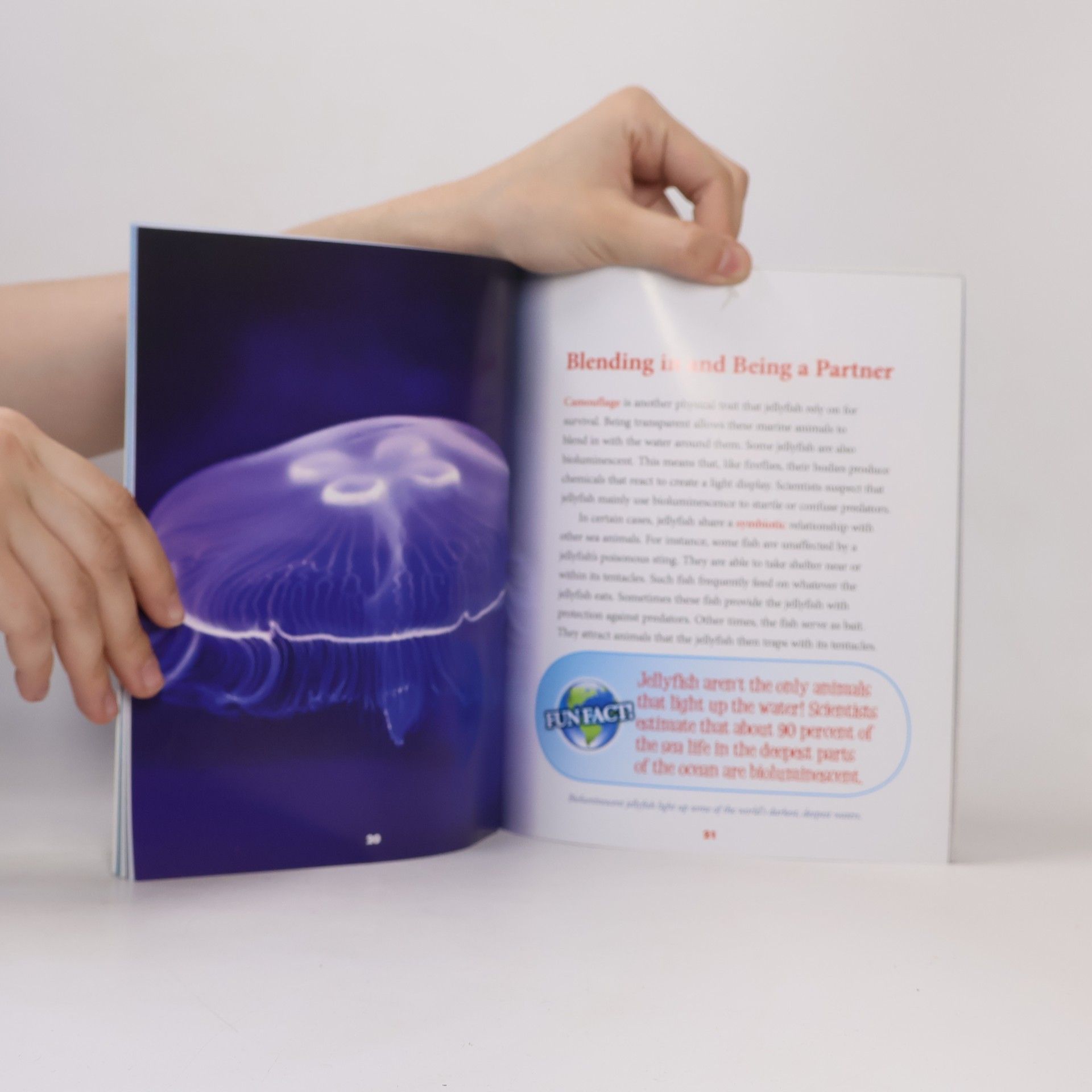 Katie Marsico Nature's Children - 6: Jellyfish