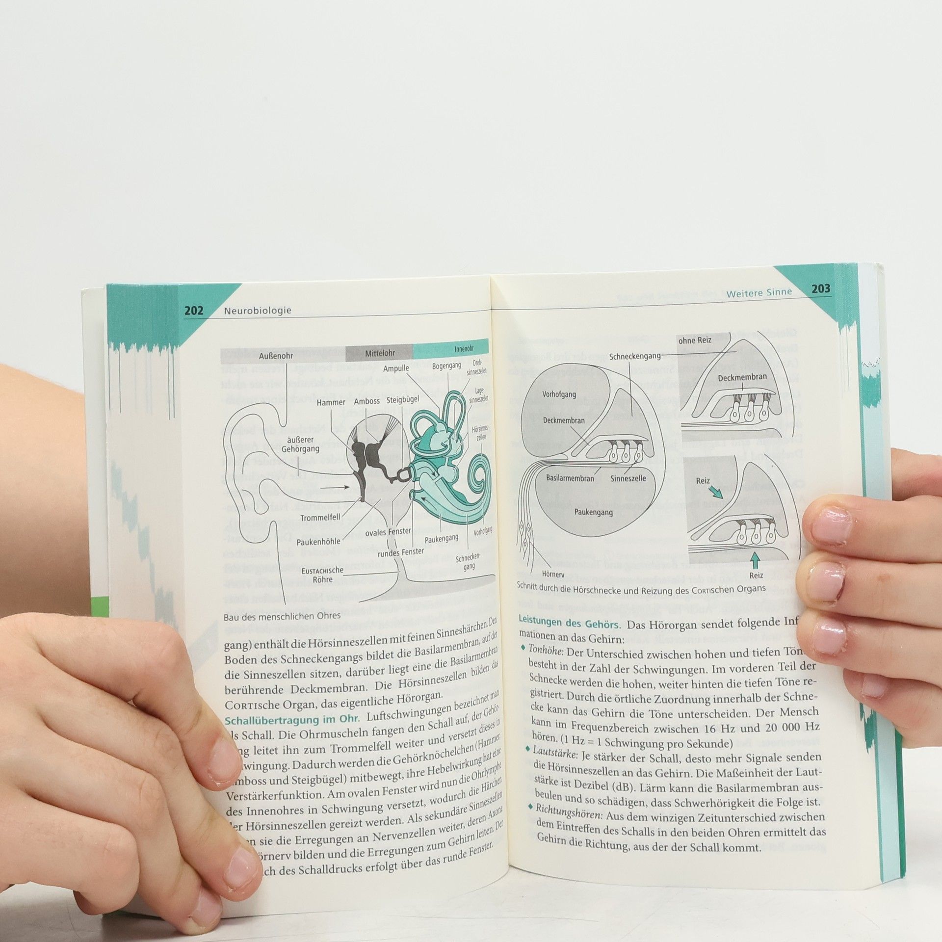 Walter Kleesattel Duden, Pocket Teacher Biologie - Abi